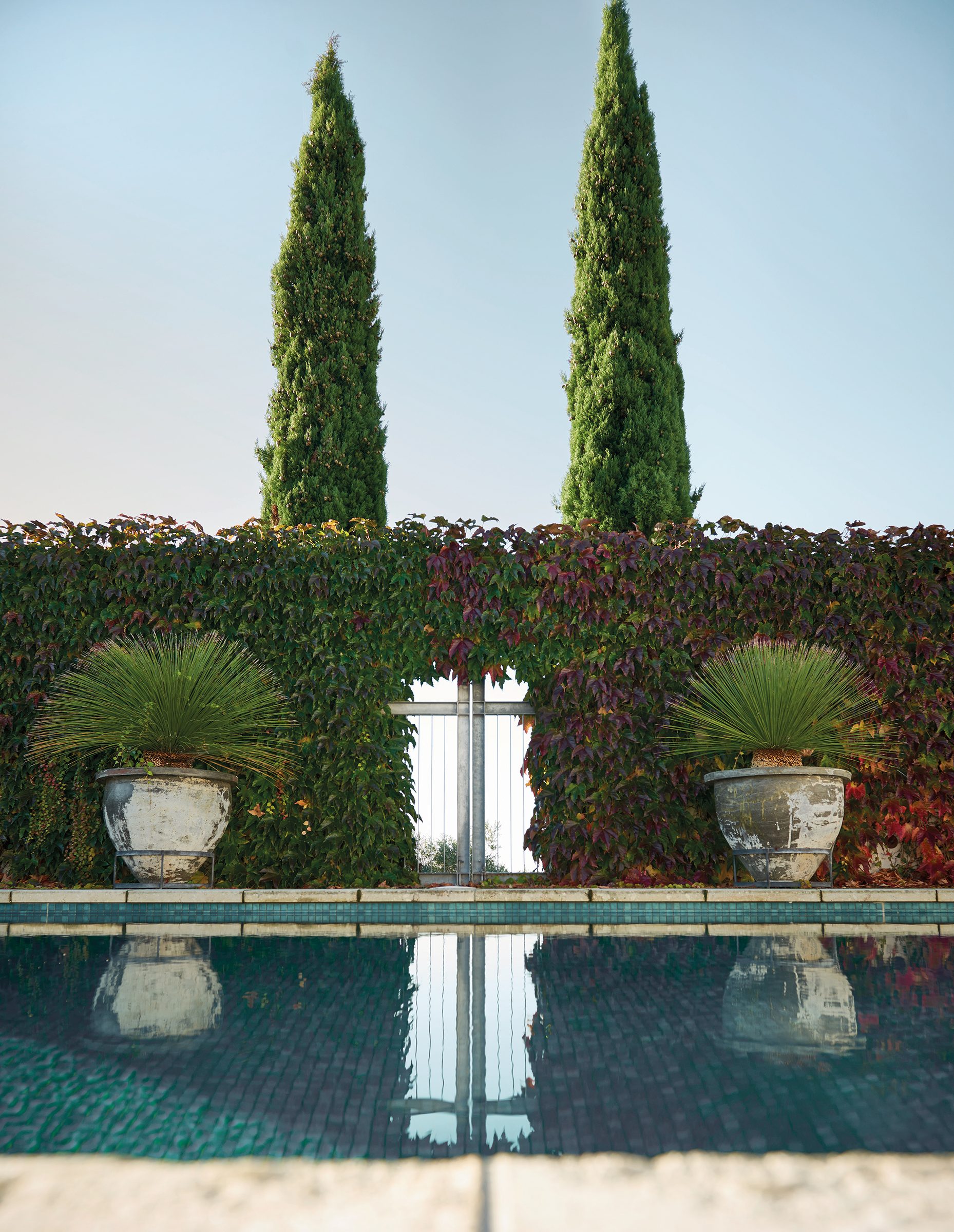 Te Mata, Hawke's Bay. Landscape design by Suzanne Turley Landscapes