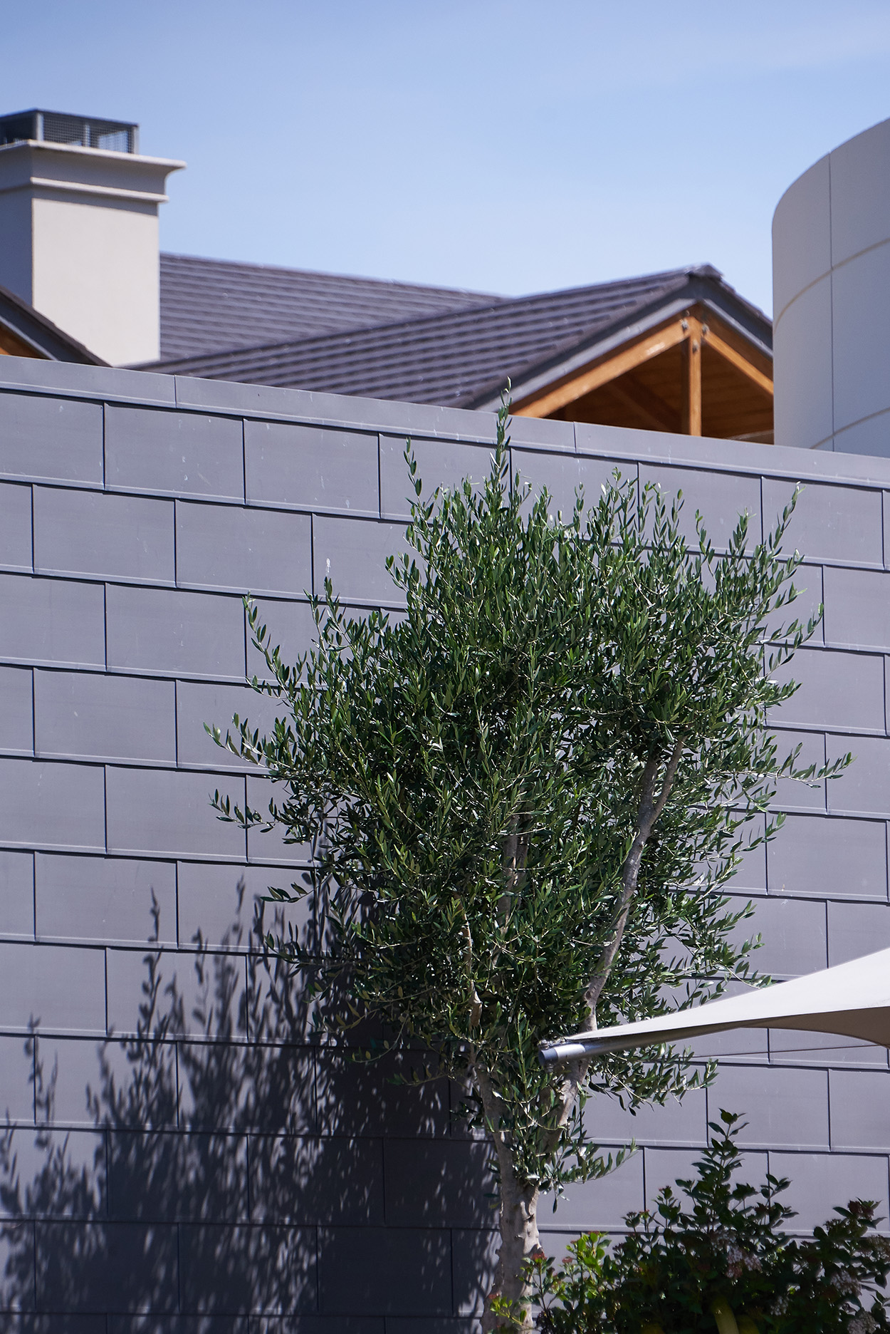 Craggy Range, Hawke's Bay. Landscape design by Suzanne Turley Landscapes