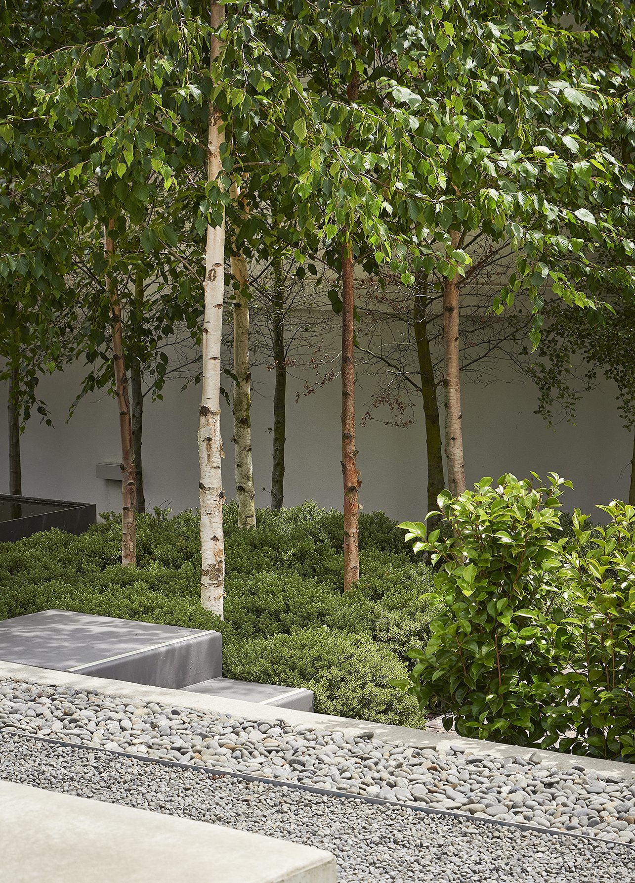 Ravenscar, Christchurch. Landscape design by Suzanne Turley Landscapes