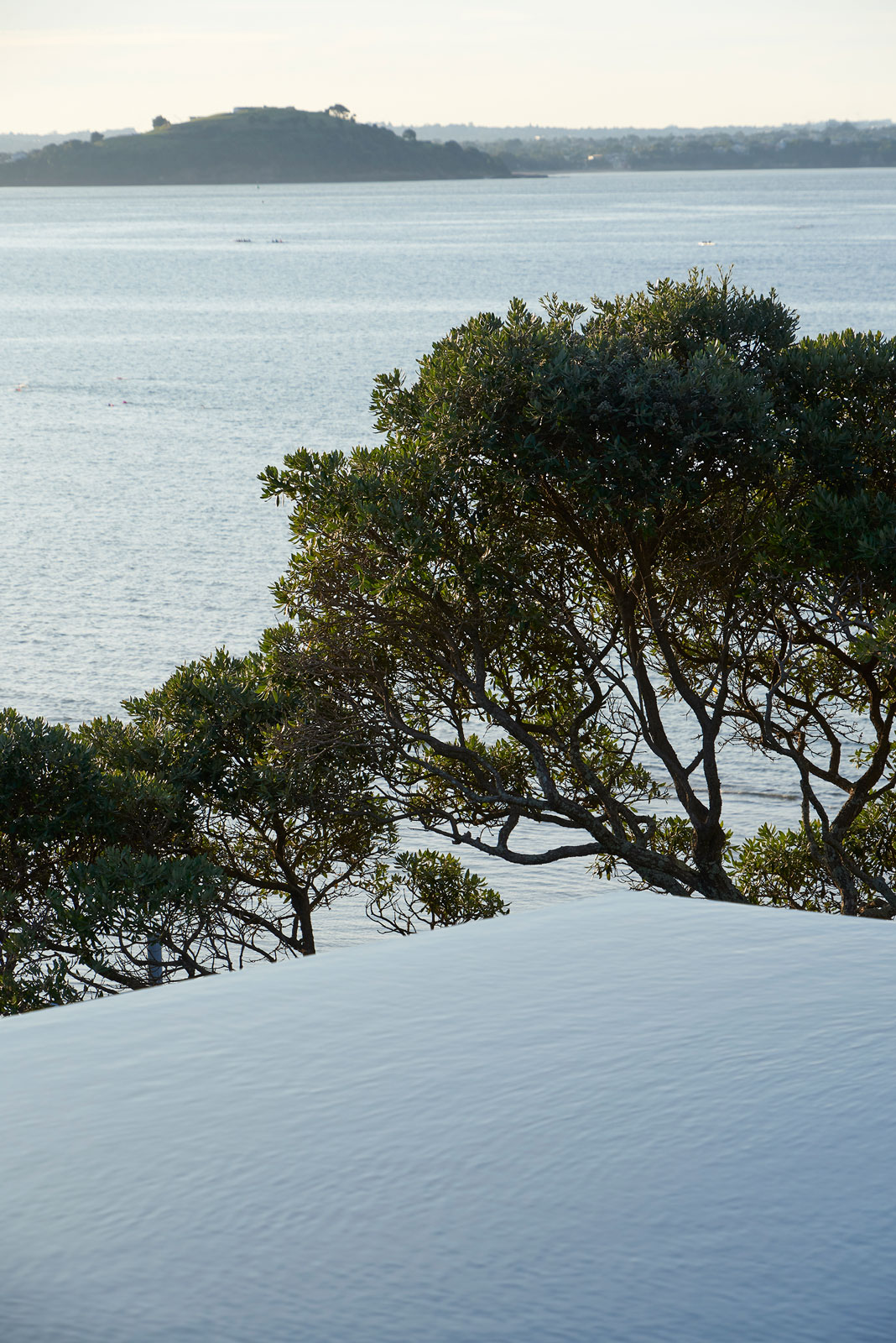 Hanene, Auckland. Landscape design by Suzanne Turley Landscapes