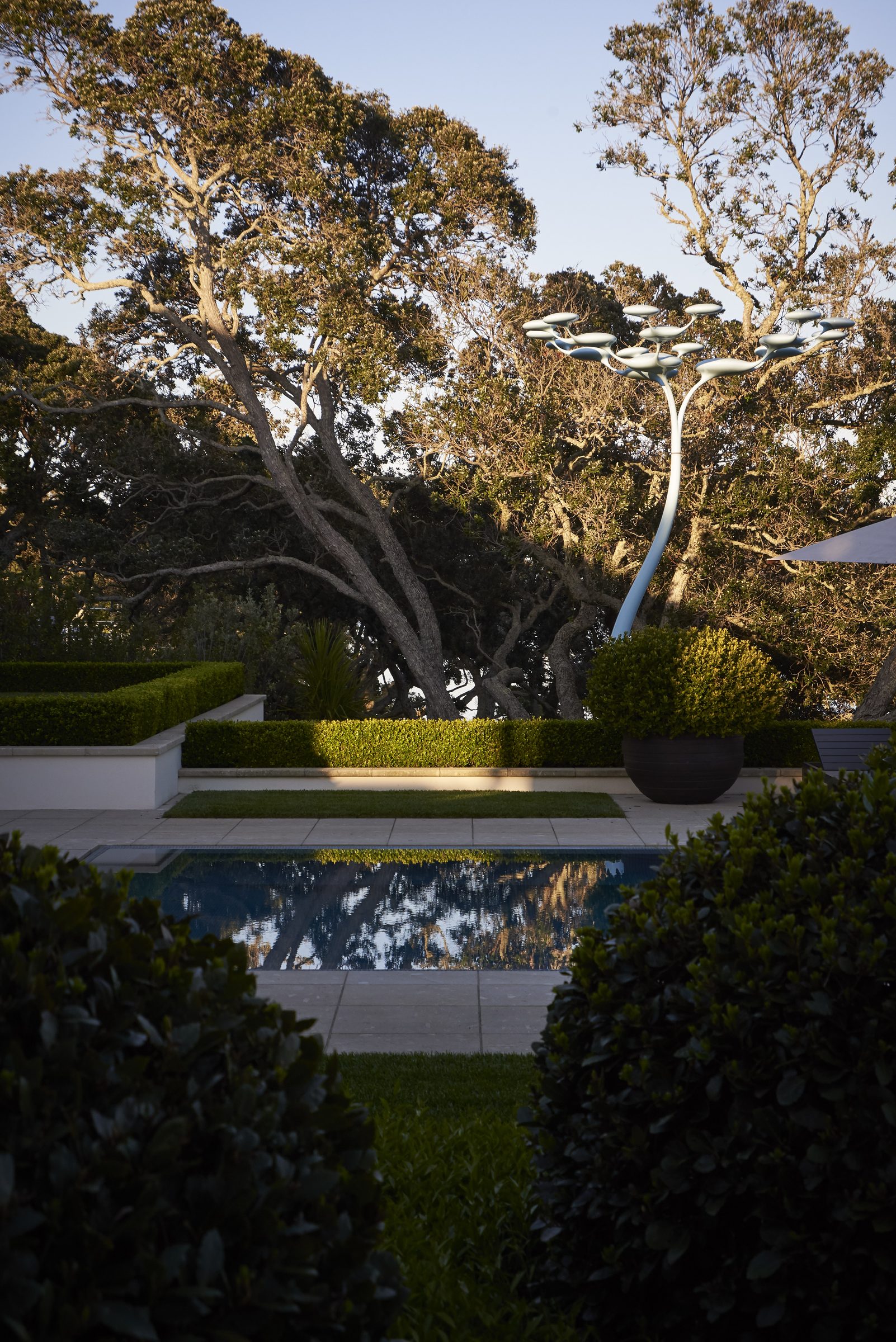 Cremorne, Auckland. Landscape design by Suzanne Turley Landscapes