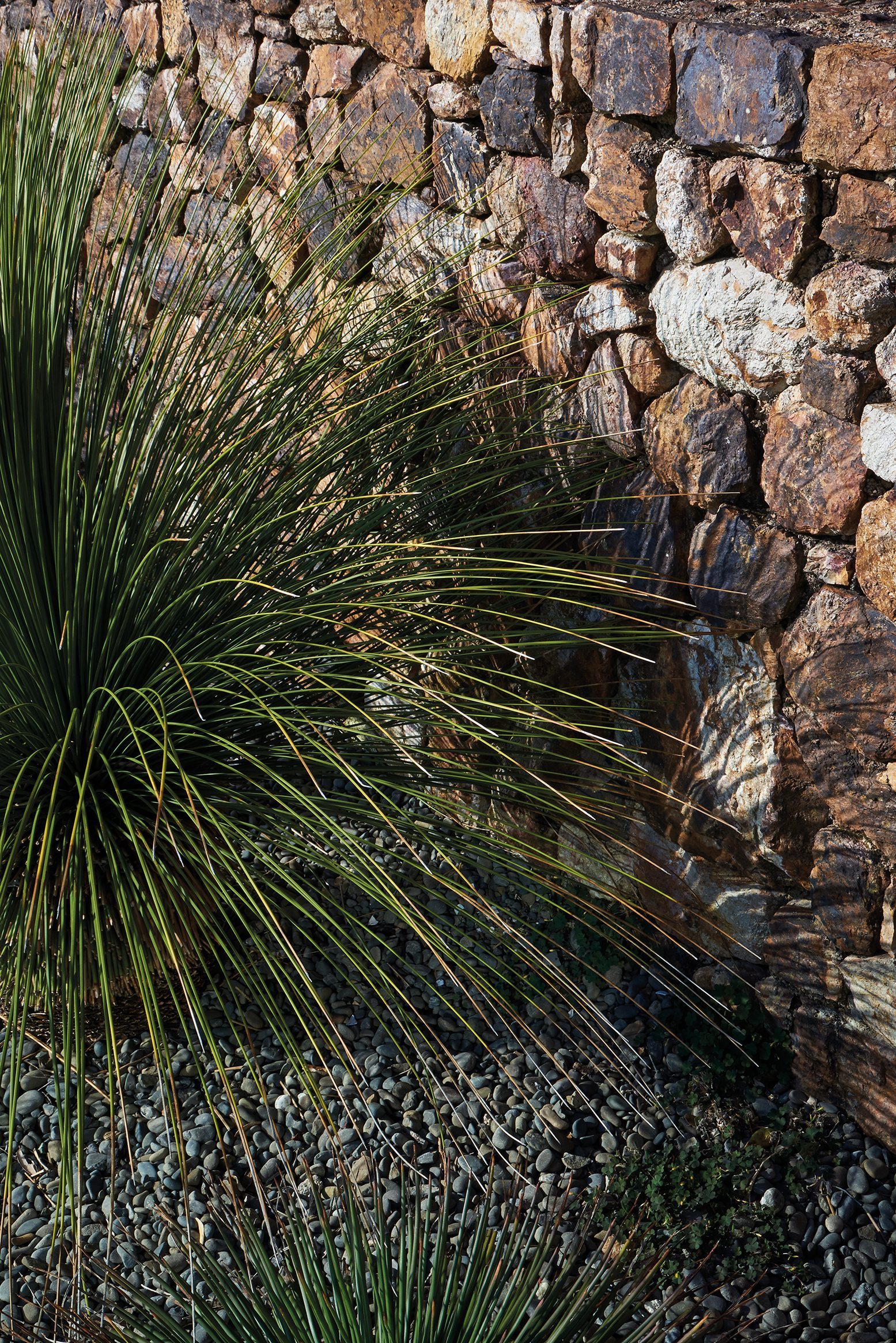Island Retreat, Waiheke Island. Landscape design by Suzanne Turley Landscapes