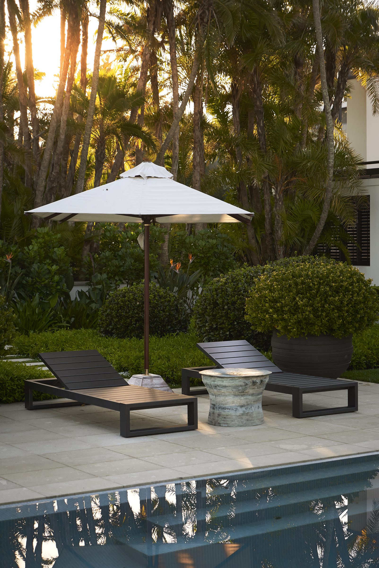 Cremorne, Auckland. Landscape design by Suzanne Turley Landscapes