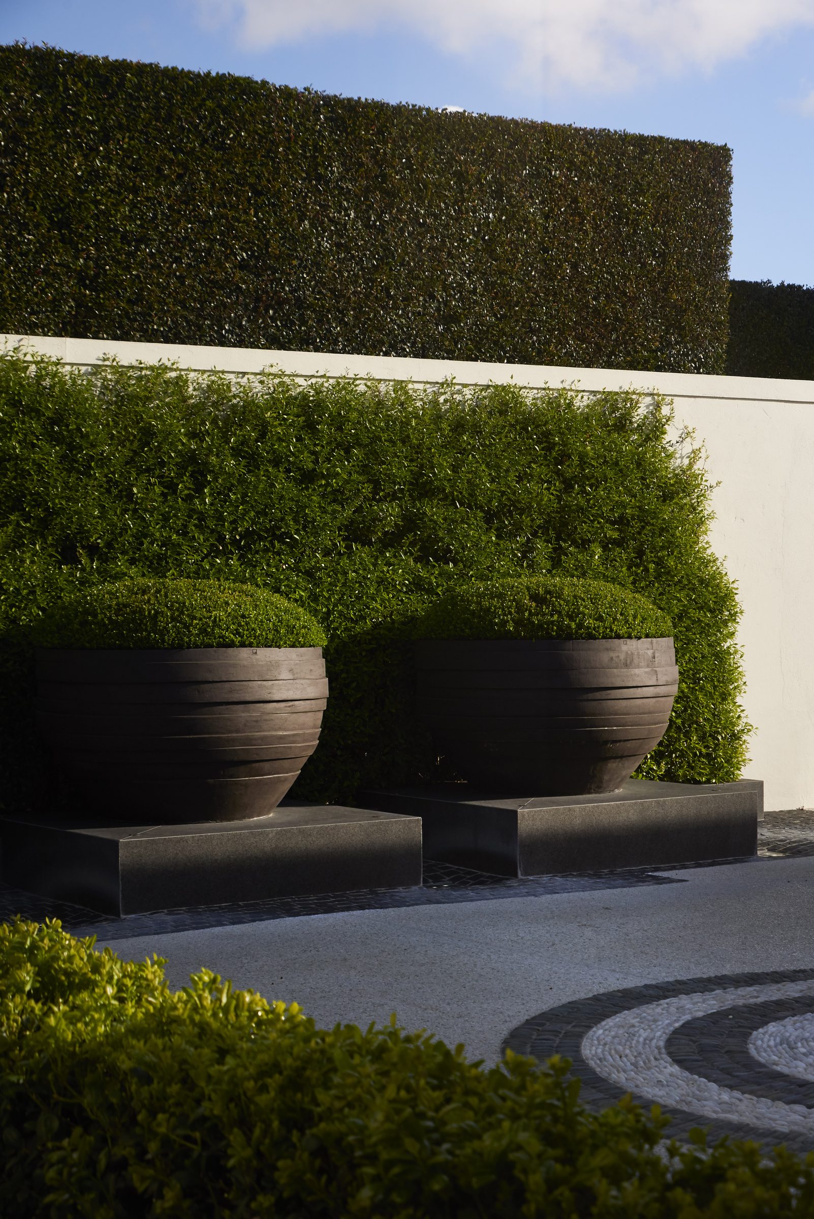 Cremorne, Auckland. Landscape design by Suzanne Turley Landscapes