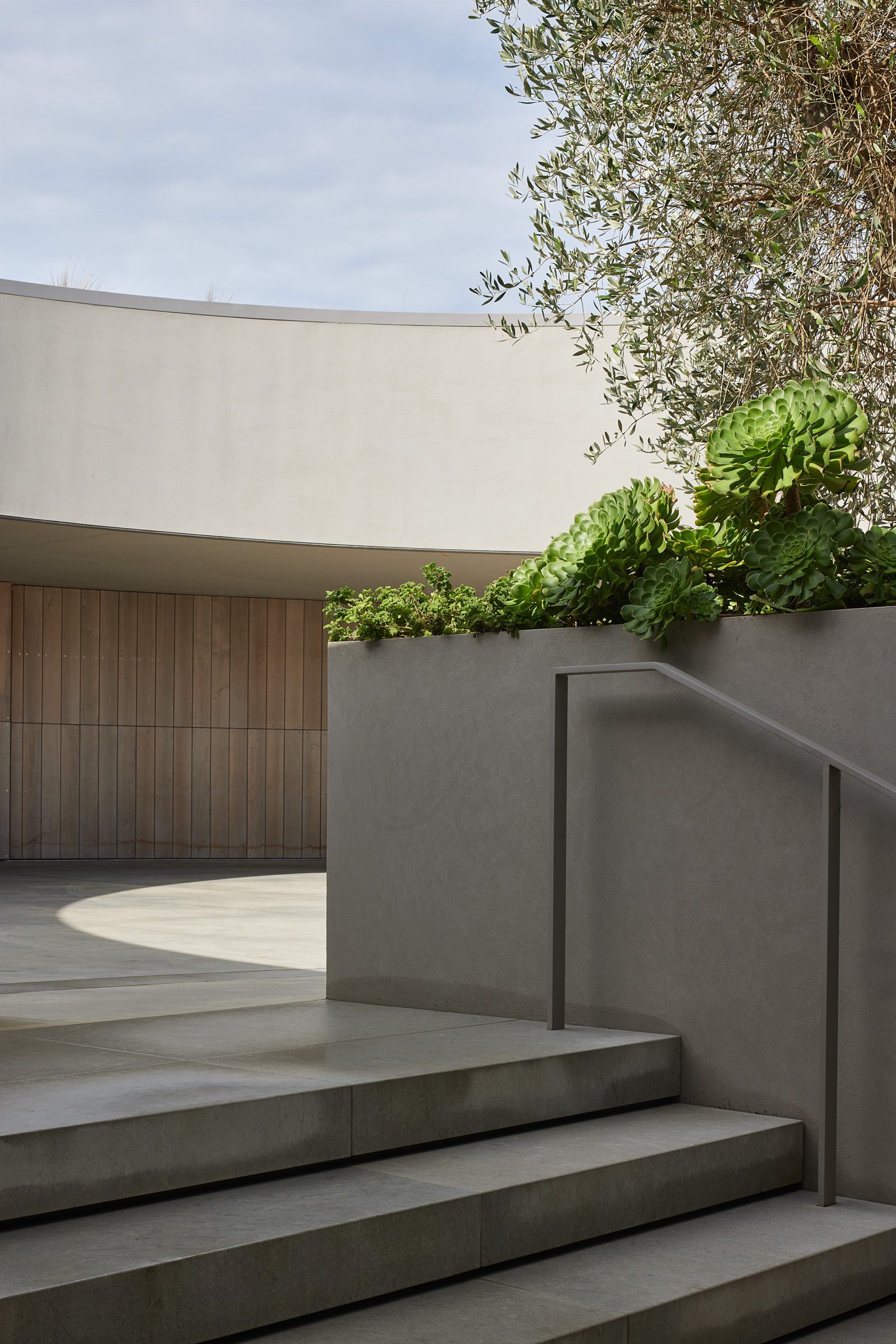 Coastal Home, Tara Iti. Landscape design by Suzanne Turley Landscapes