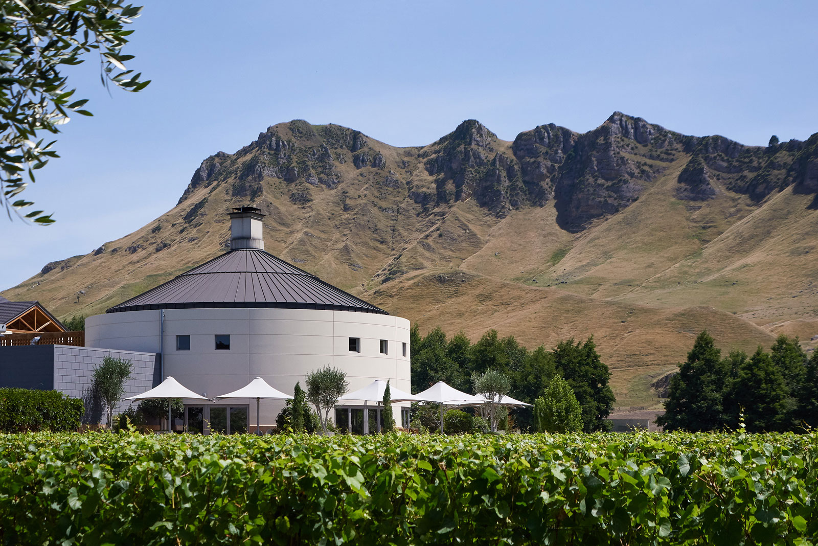 Craggy Range, Hawke's Bay, New Zealand. Landscape design by Suzanne Turley Landscapes