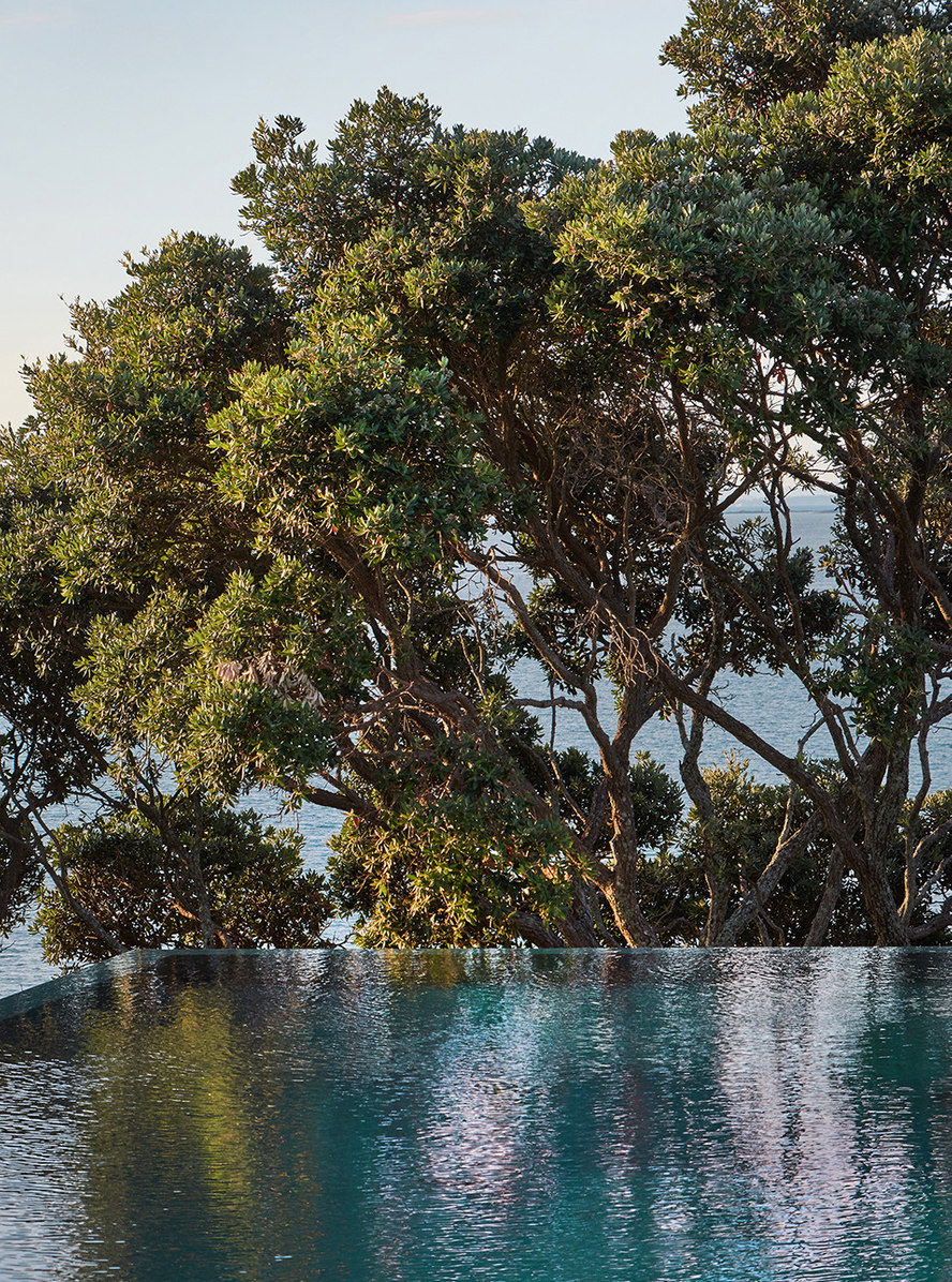 Hanene Clifftop, Auckland, New Zealand. Landscape design by Suzanne Turley Landscapes