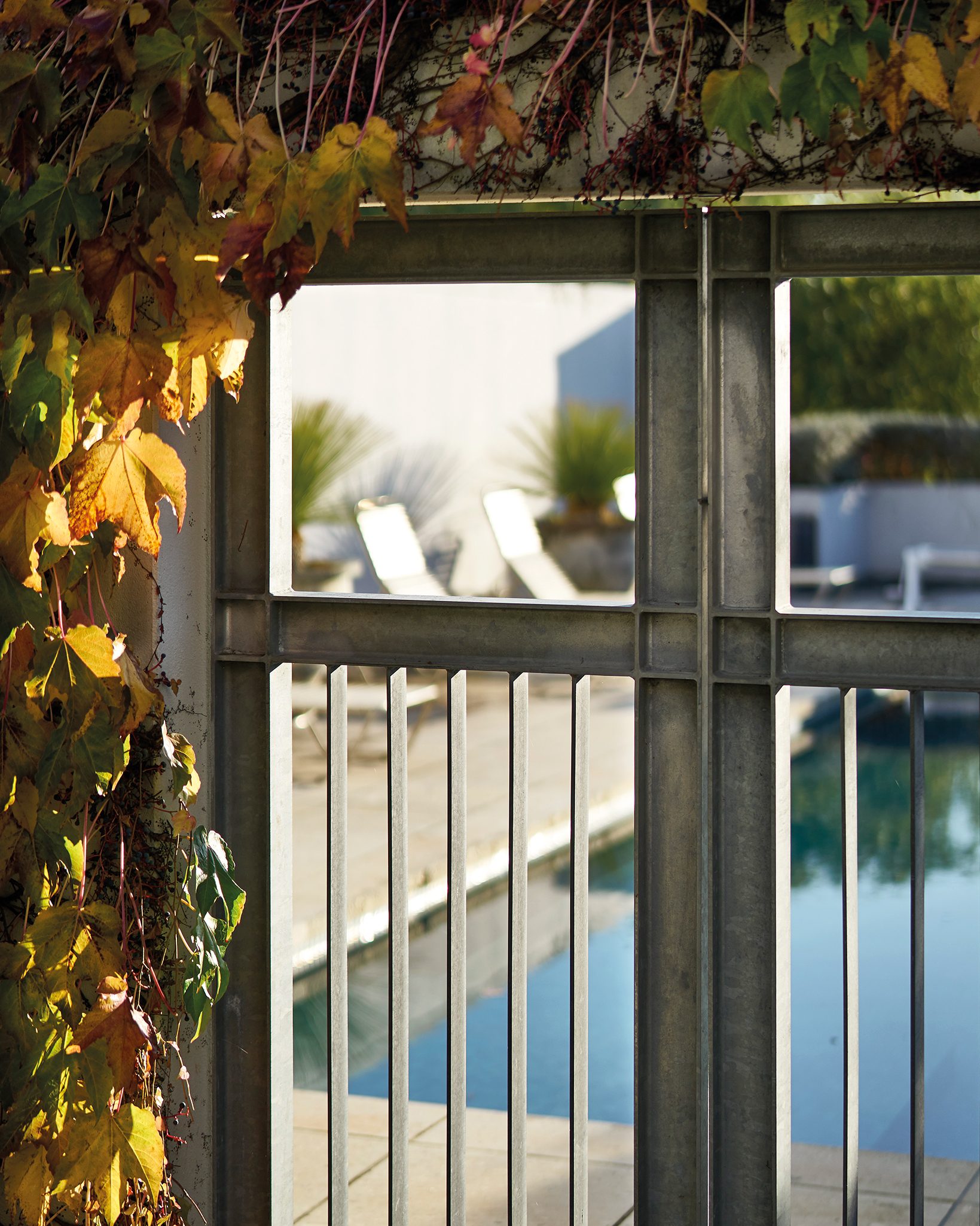 Te Mata, Hawke's Bay. Landscape design by Suzanne Turley Landscapes