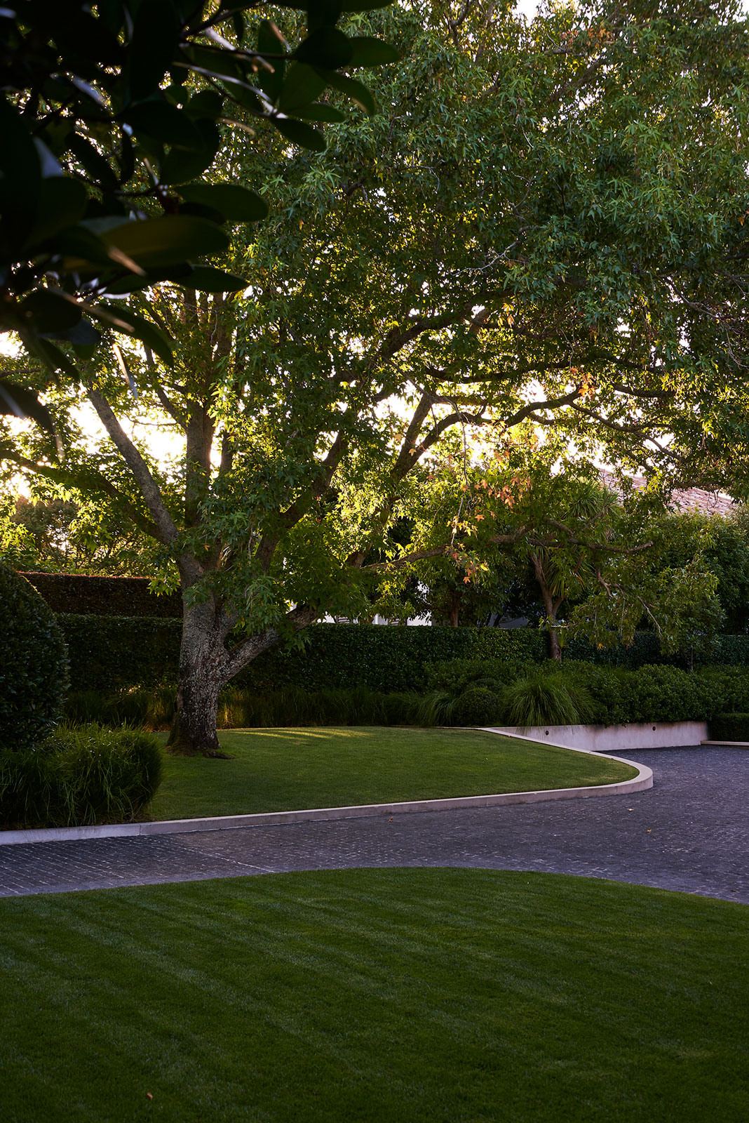 Hanene, Auckland. Landscape design by Suzanne Turley Landscapes