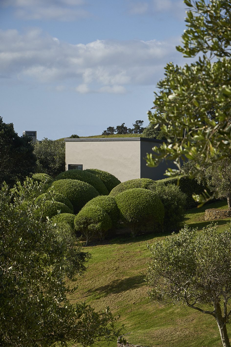 Island Retreat, Waiheke Island. Landscape design by Suzanne Turley Landscapes