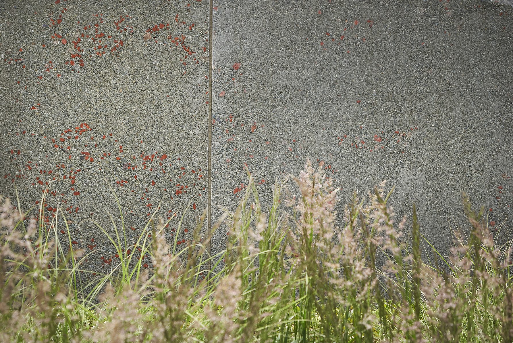 Ravenscar, Christchurch. Landscape design by Suzanne Turley Landscapes