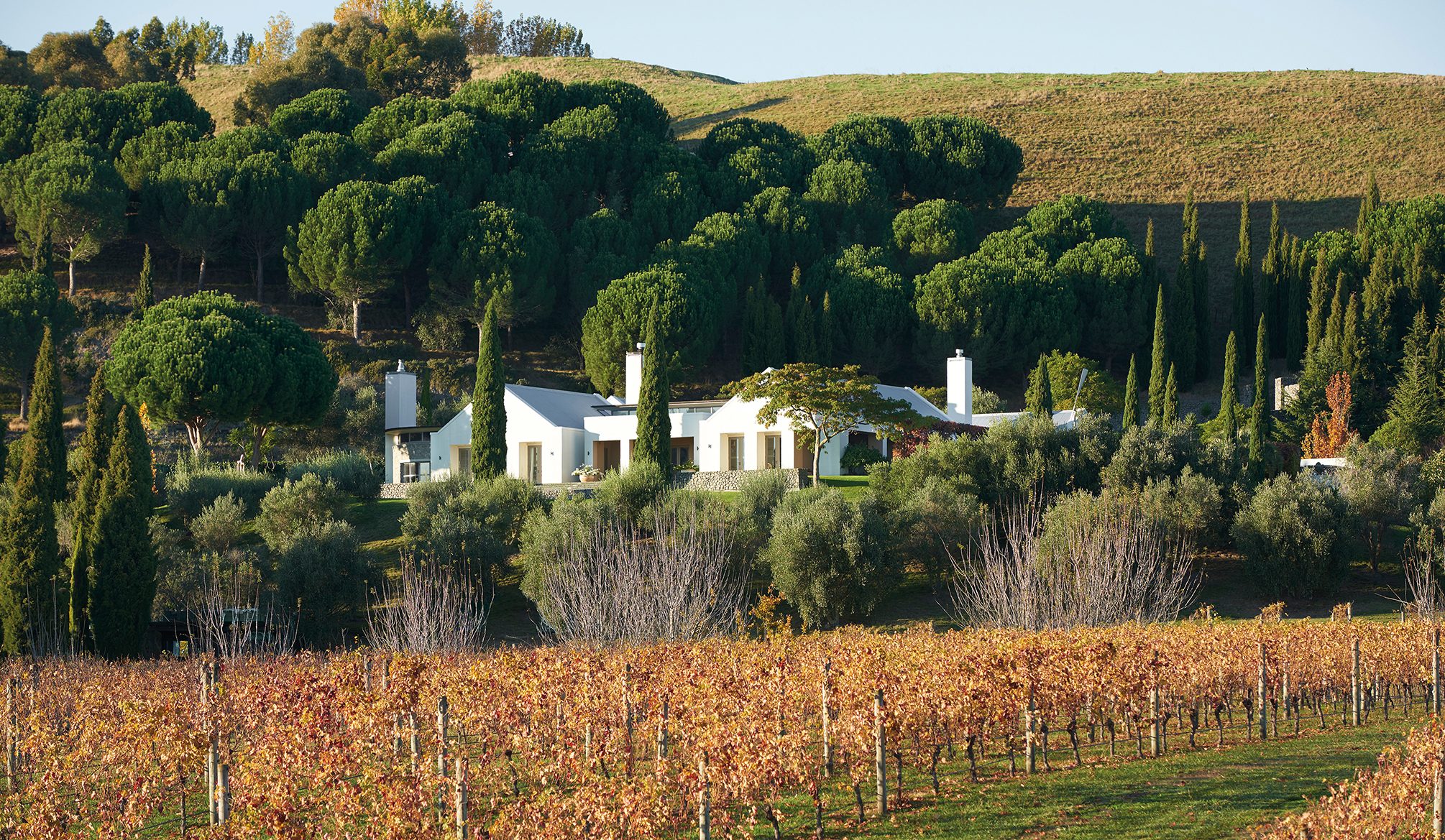 Te Mata, Hawke's Bay. Landscape design by Suzanne Turley Landscapes