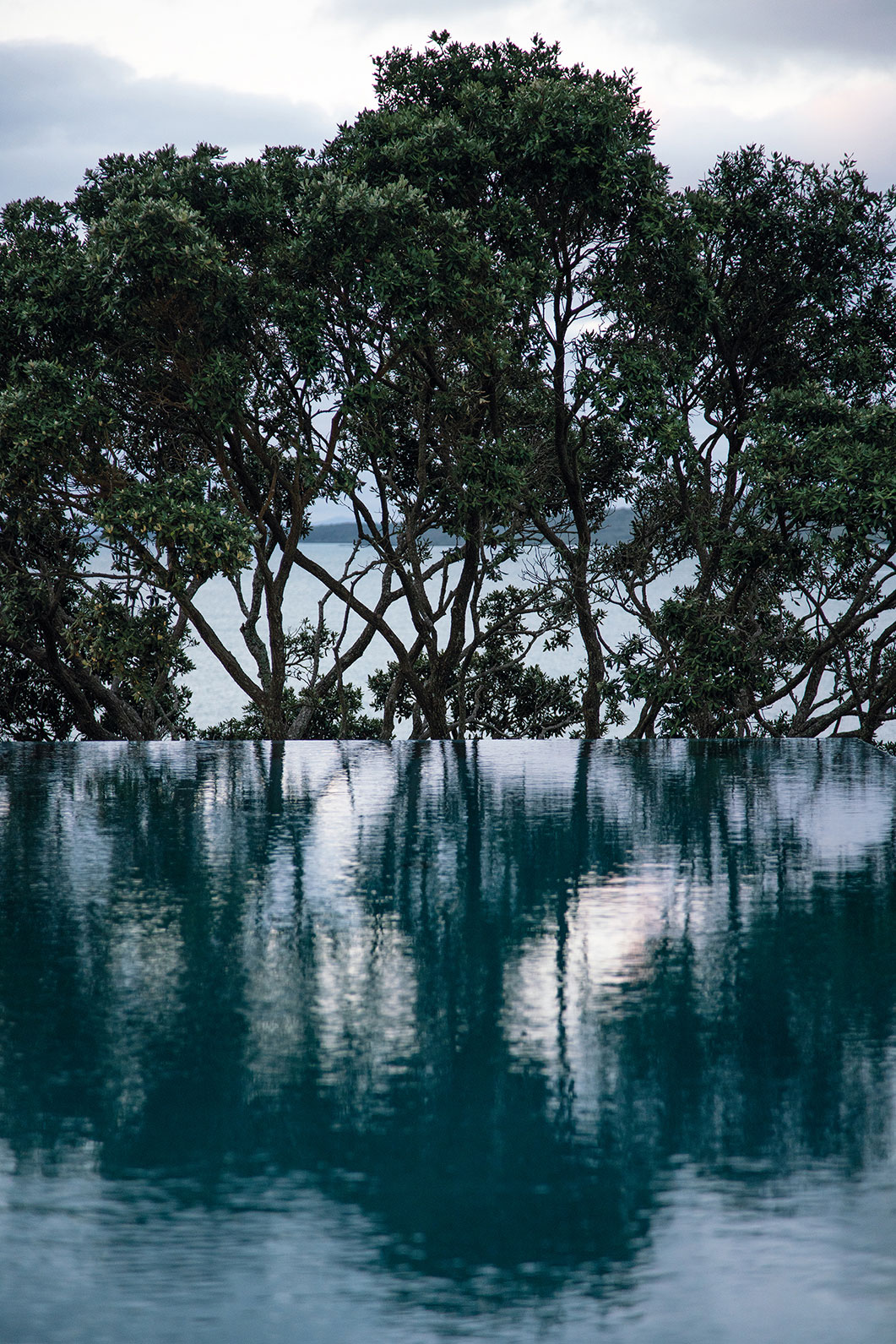 Hanene, Auckland. Landscape design by Suzanne Turley Landscapes