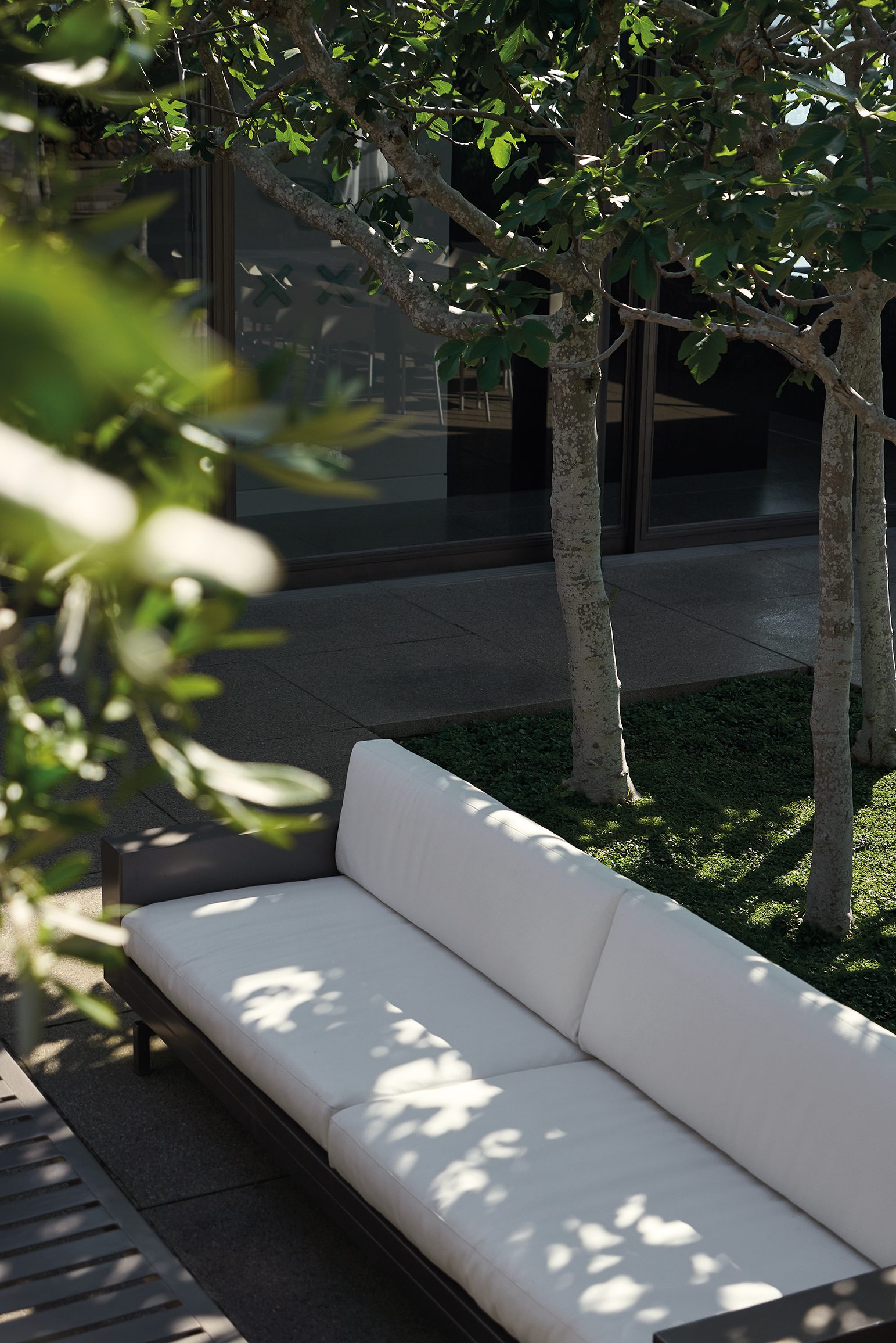Island Retreat, Waiheke Island. Landscape design by Suzanne Turley Landscapes