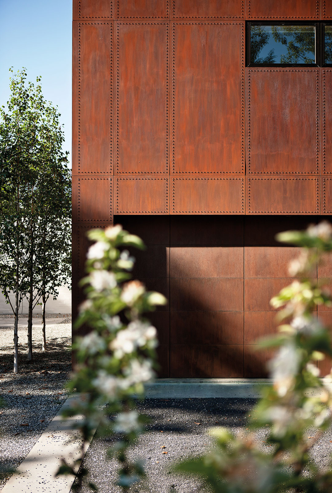 Swan Lake, Queenstown. Landscape design by Suzanne Turley Landscapes