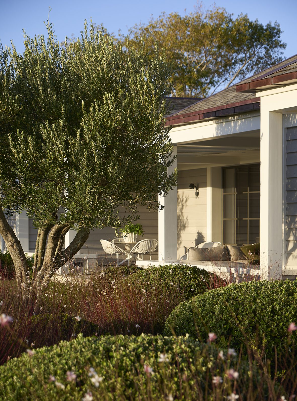 Beachside Retreat, Auckland. Landscape design by Suzanne Turley Landscapes