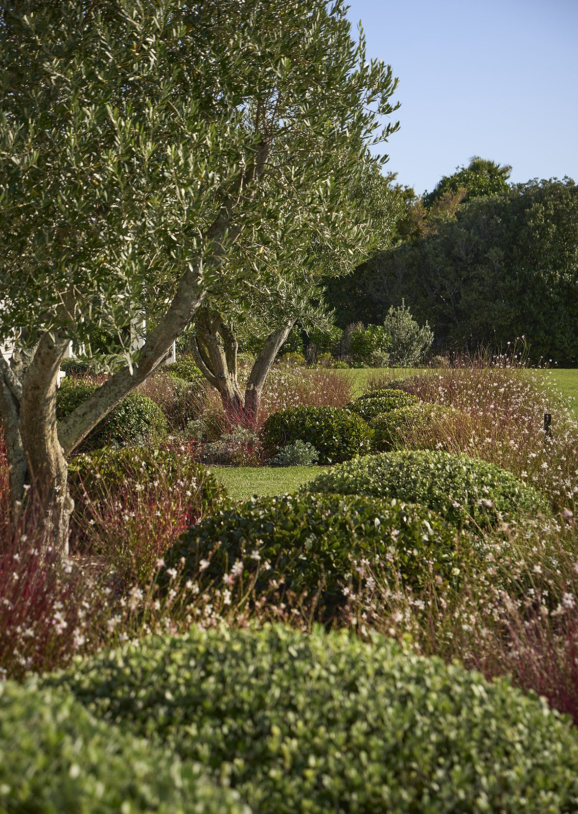 Beachside Retreat, Auckland. Landscape design by Suzanne Turley Landscapes