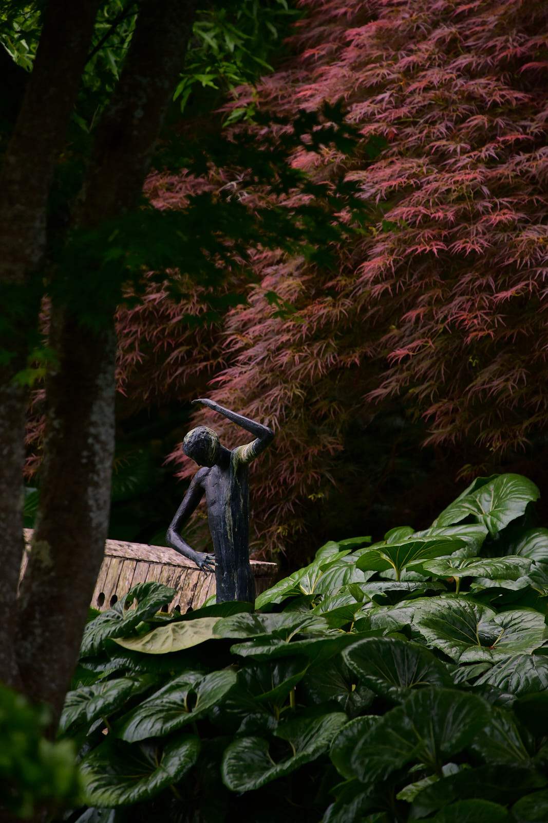Paretai, Hawke's Bay. Landscape design by Suzanne Turley Landscapes