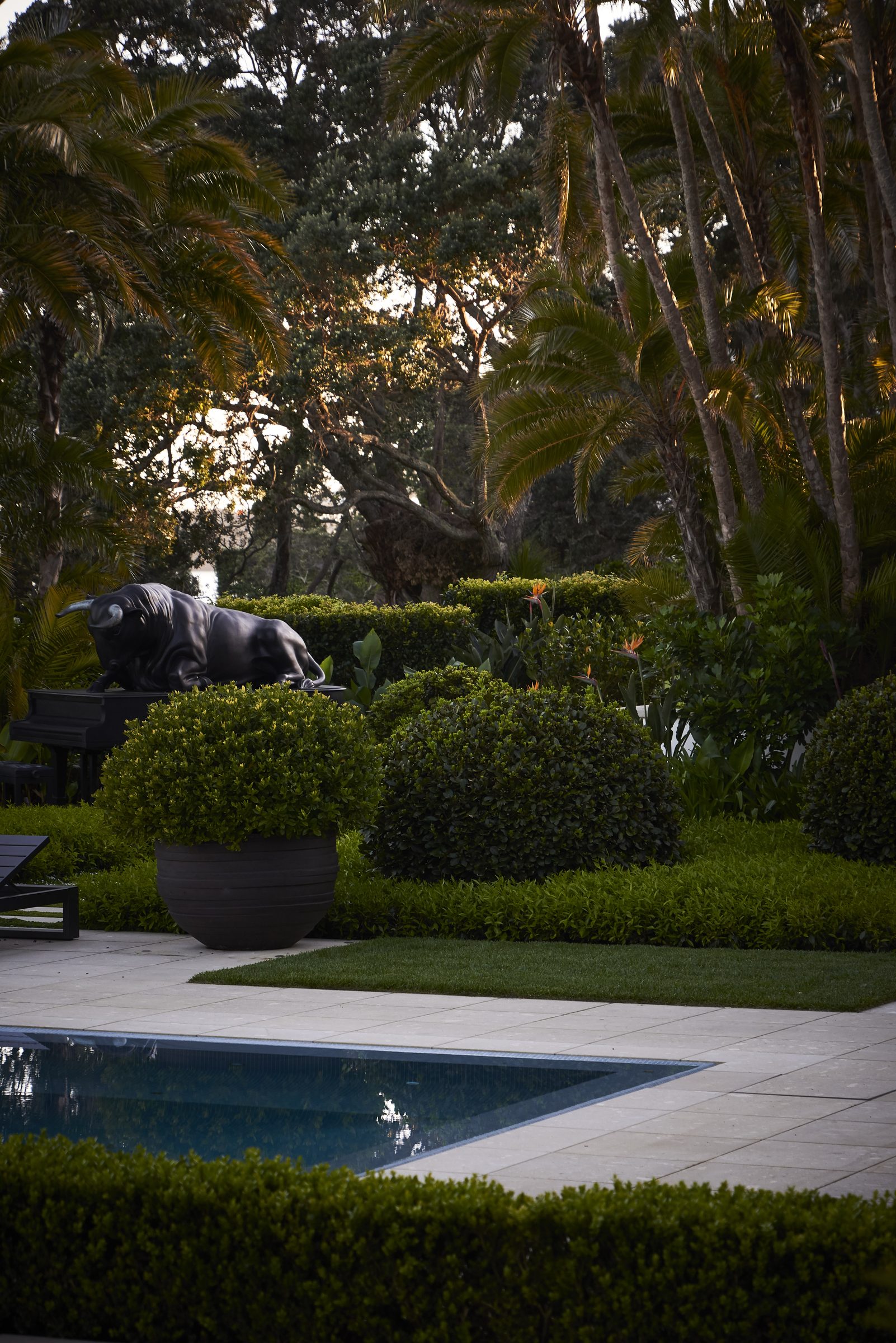 Cremorne, Auckland. Landscape design by Suzanne Turley Landscapes