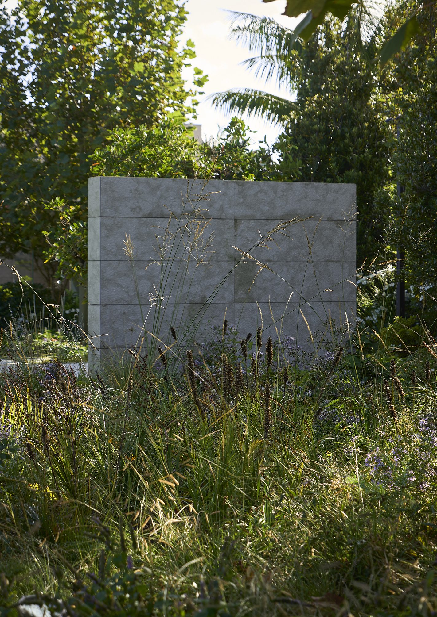 Garden House, Auckland. Landscape design by Suzanne Turley Landscapes