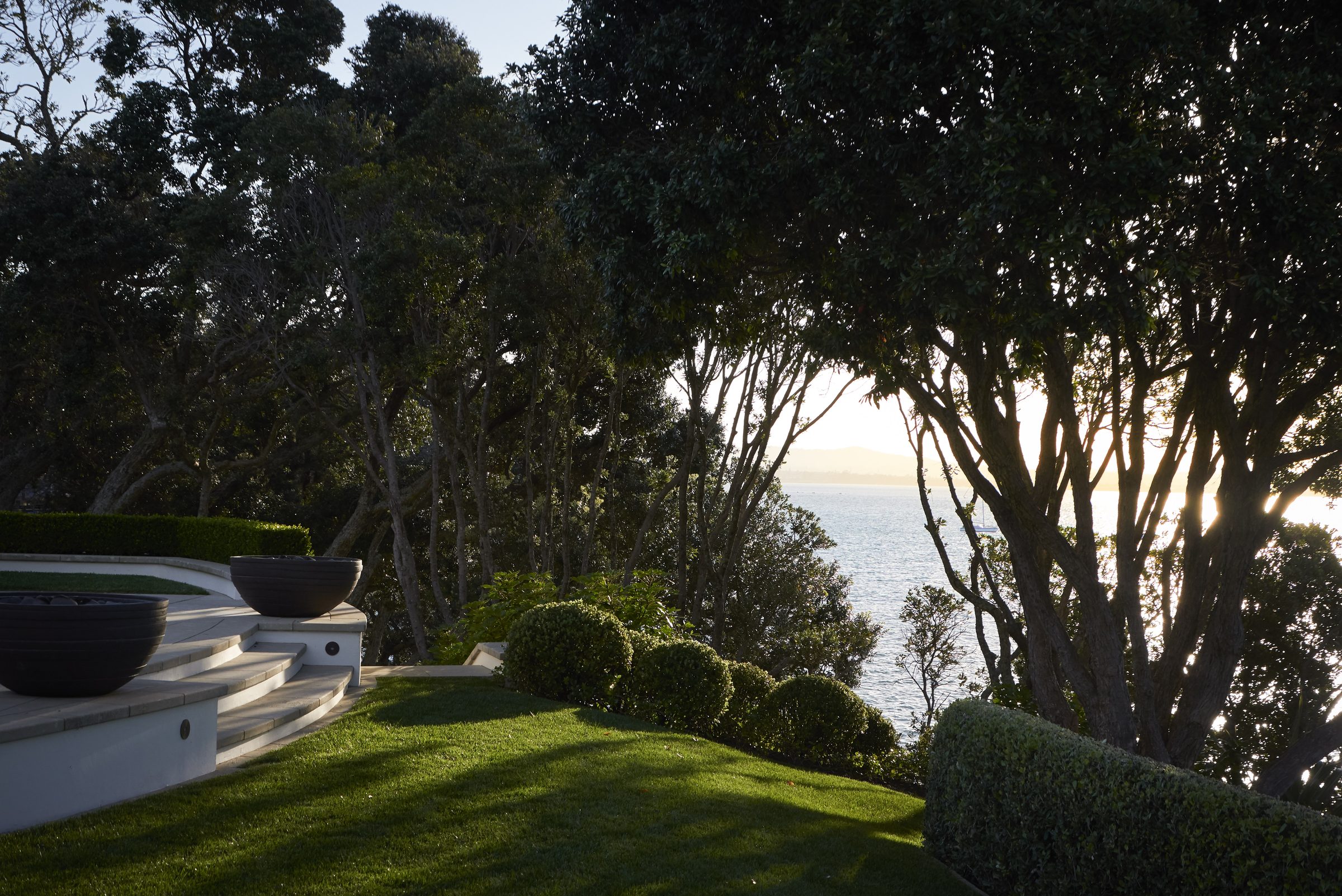 Cremorne, Auckland. Landscape design by Suzanne Turley Landscapes