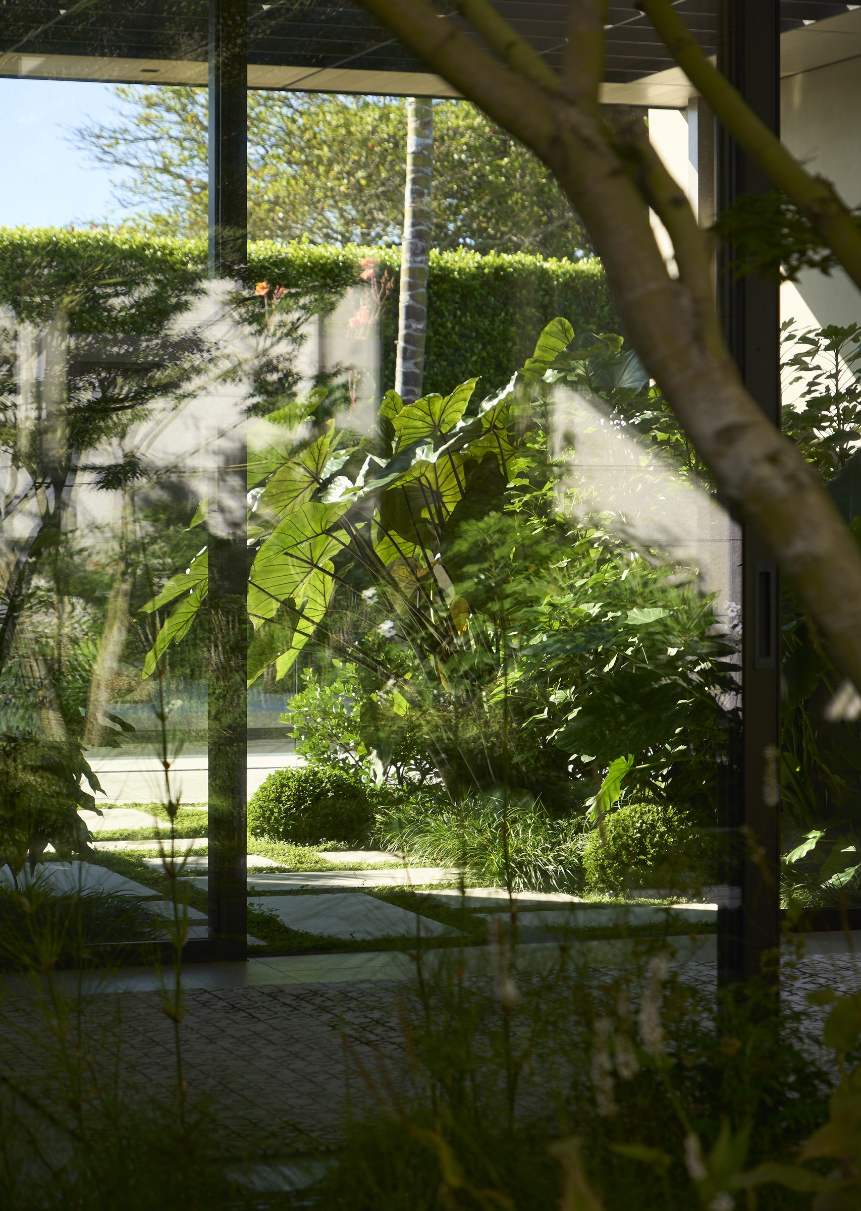 Garden House, Auckland. Landscape design by Suzanne Turley Landscapes