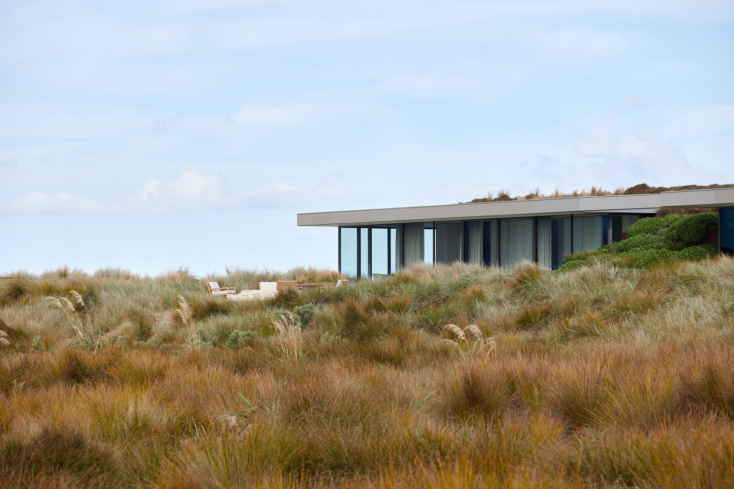 Coastal Home, Tara Iti. Landscape design by Suzanne Turley Landscapes