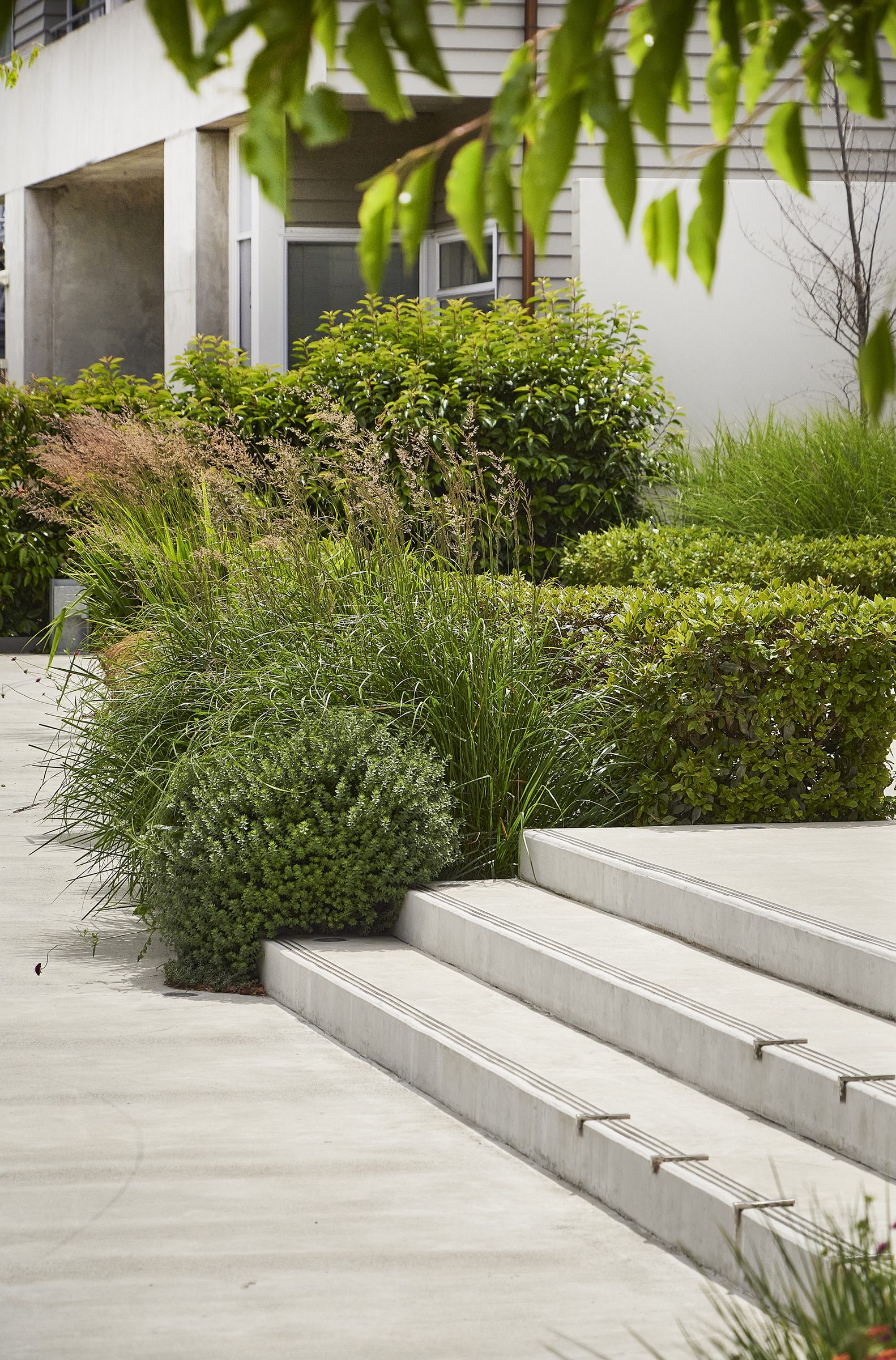 Ravenscar, Christchurch. Landscape design by Suzanne Turley Landscapes