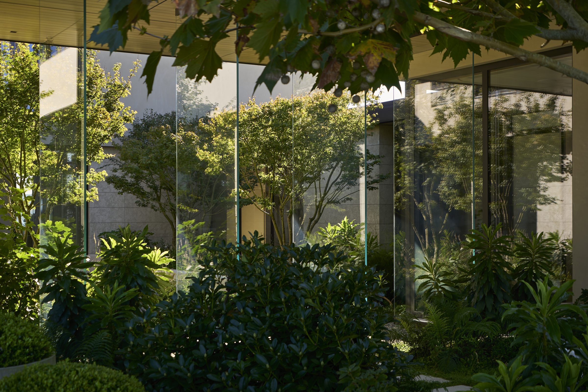 Garden House, Auckland. Landscape design by Suzanne Turley Landscapes
