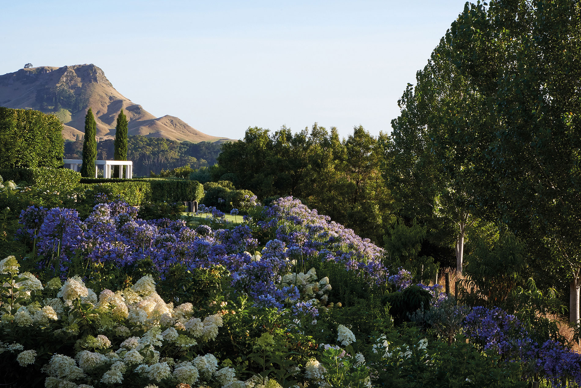 Tahuna, Hawke's Bay. Landscape design by Suzanne Turley Landscapes