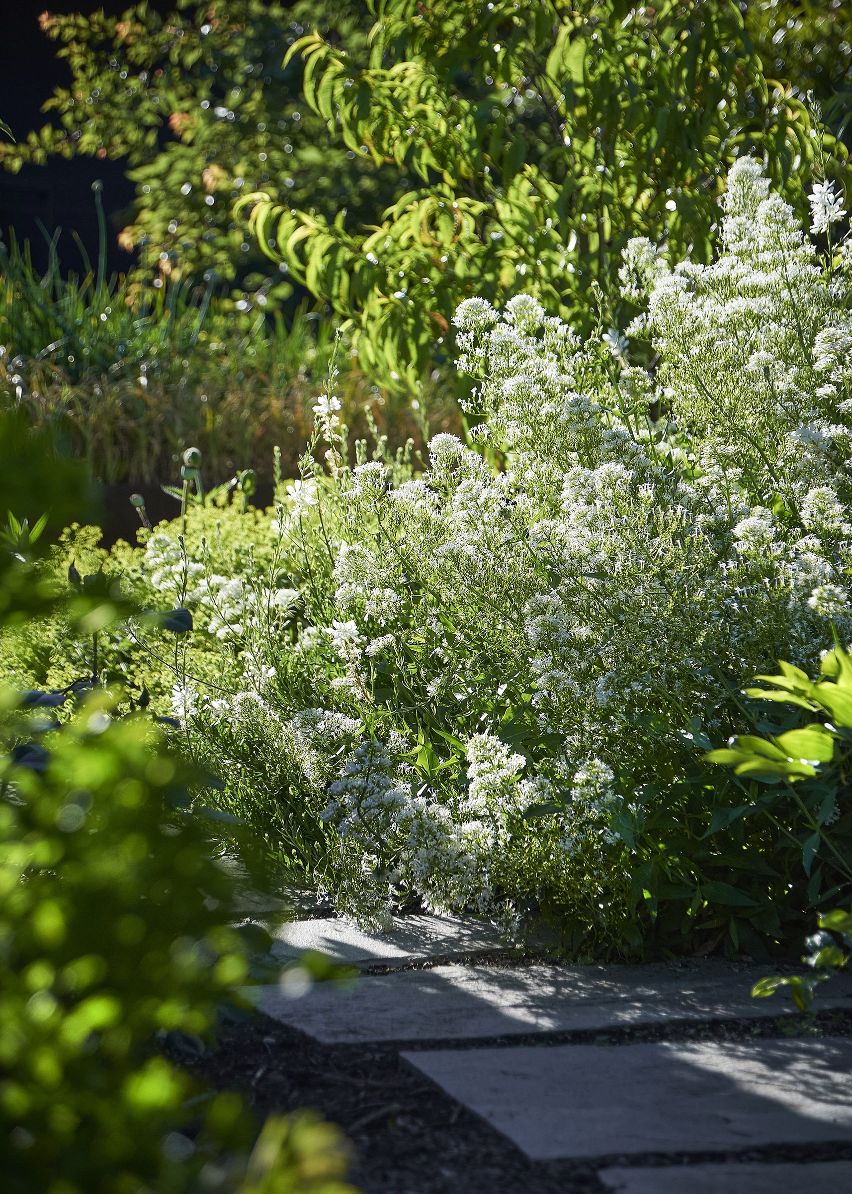 Riverside House, Christchurch. Landscape design by Suzanne Turley Landscapes