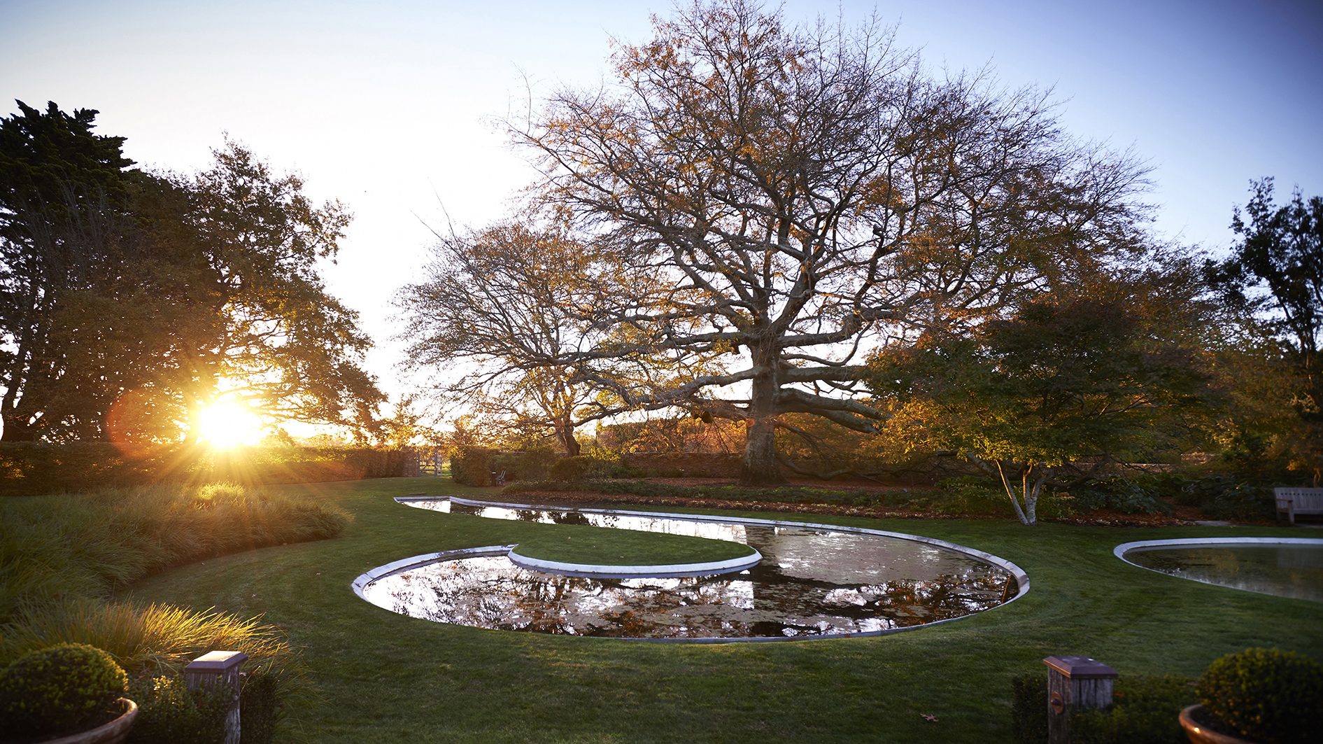 Paretai, Hawke's Bay. Landscape design by Suzanne Turley Landscapes
