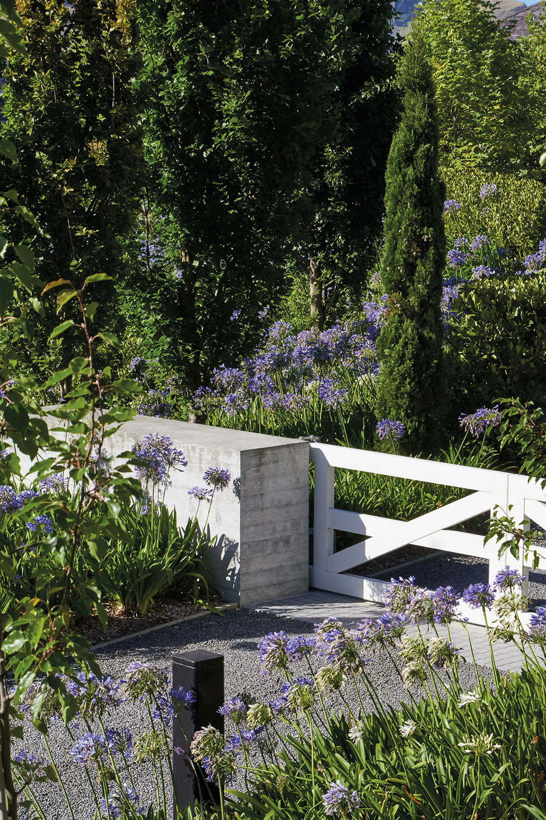 Tahuna, Hawke's Bay. Landscape design by Suzanne Turley Landscapes
