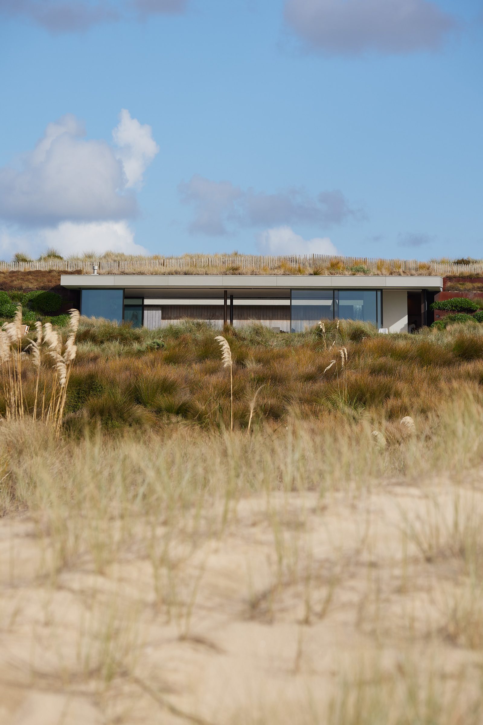 Coastal Home, Tara Iti. Landscape design by Suzanne Turley Landscapes