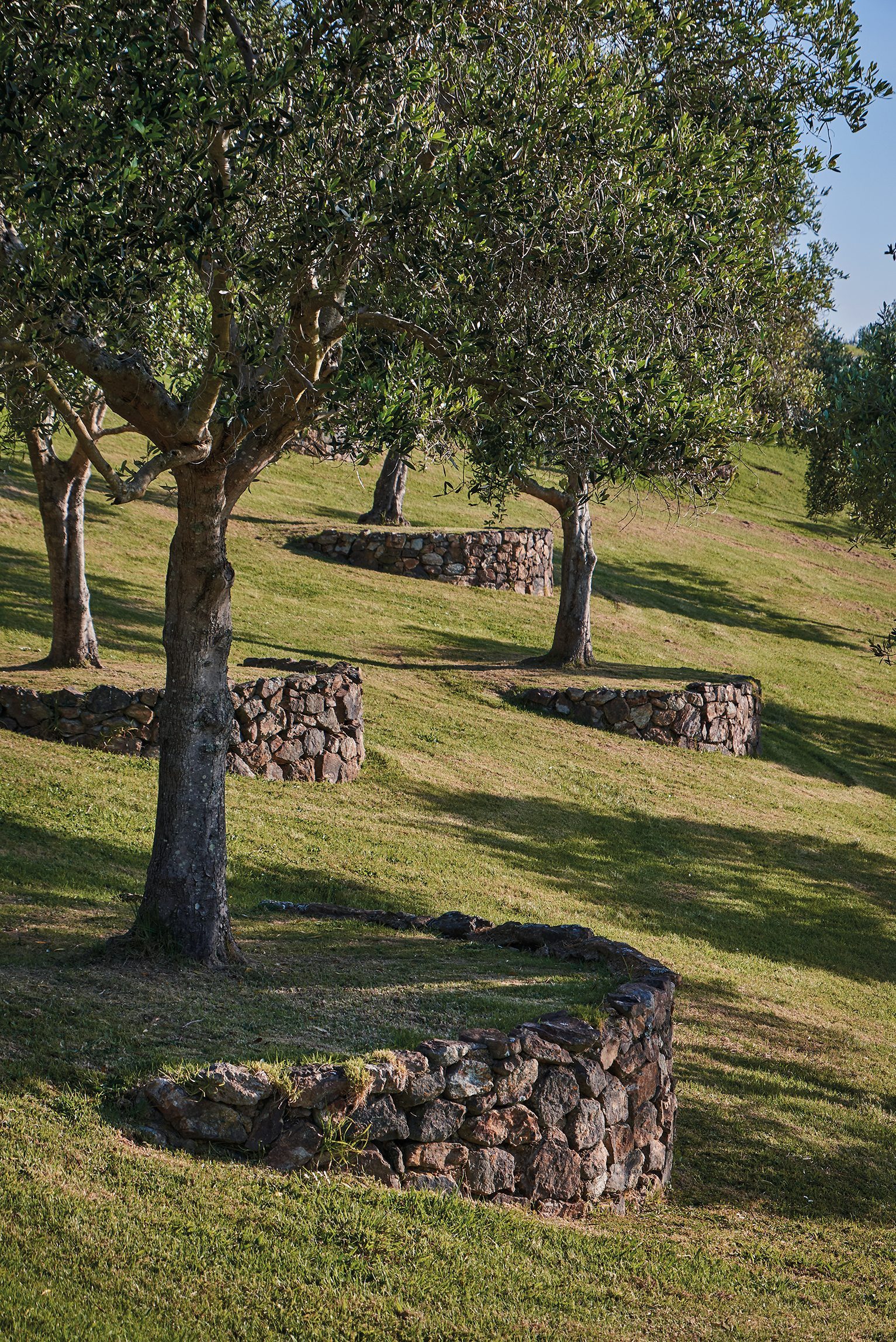 Island Retreat, Waiheke Island. Landscape design by Suzanne Turley Landscapes