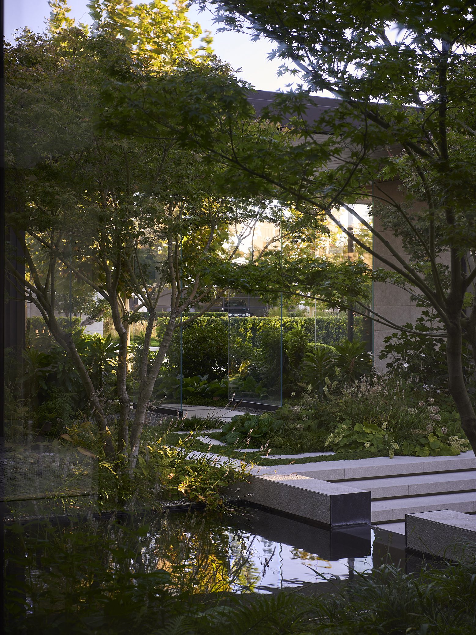 Garden House, Auckland. Landscape design by Suzanne Turley Landscapes