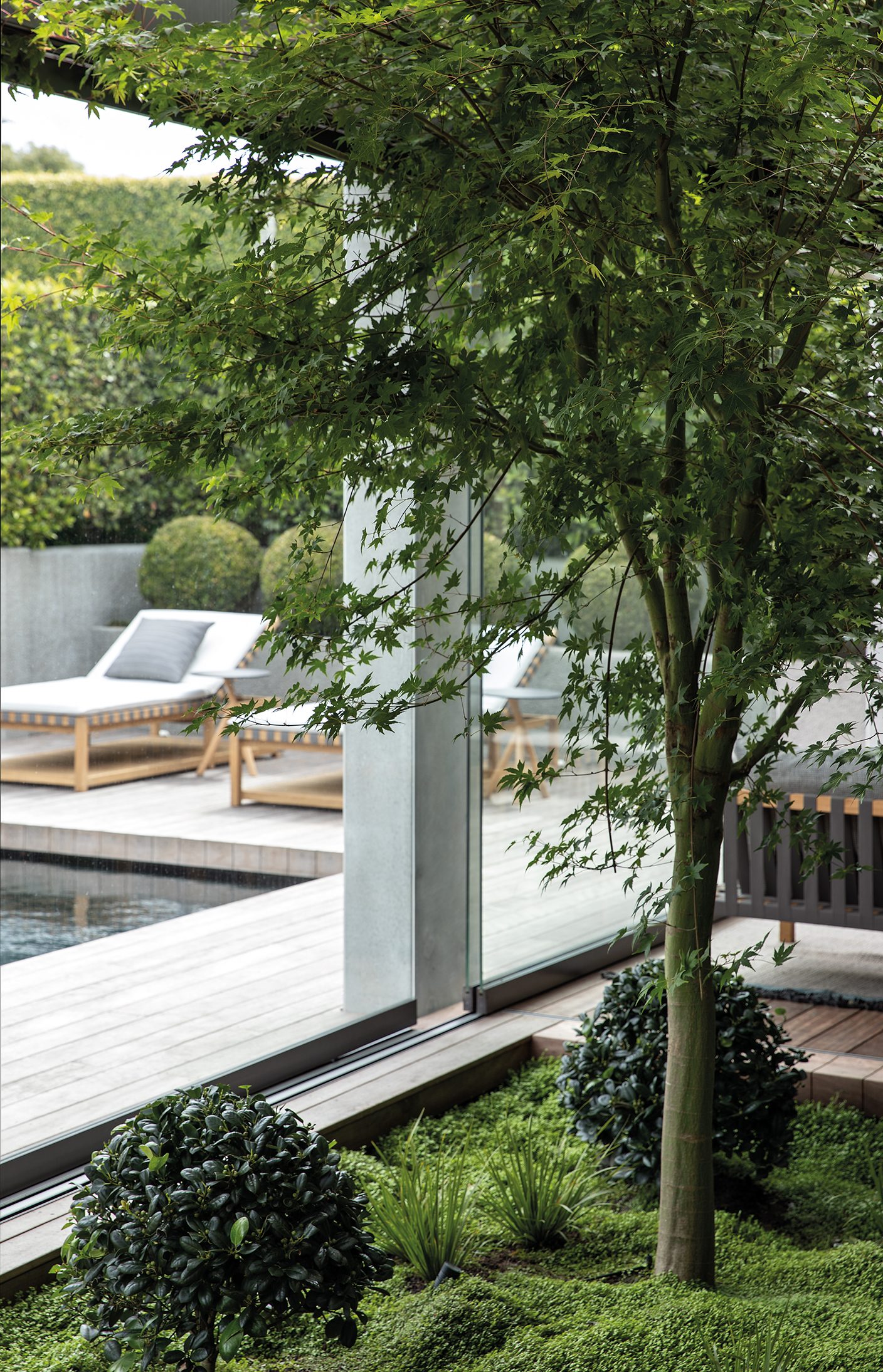 Pool Pavilion, Auckland. Landscape design by Suzanne Turley Landscapes