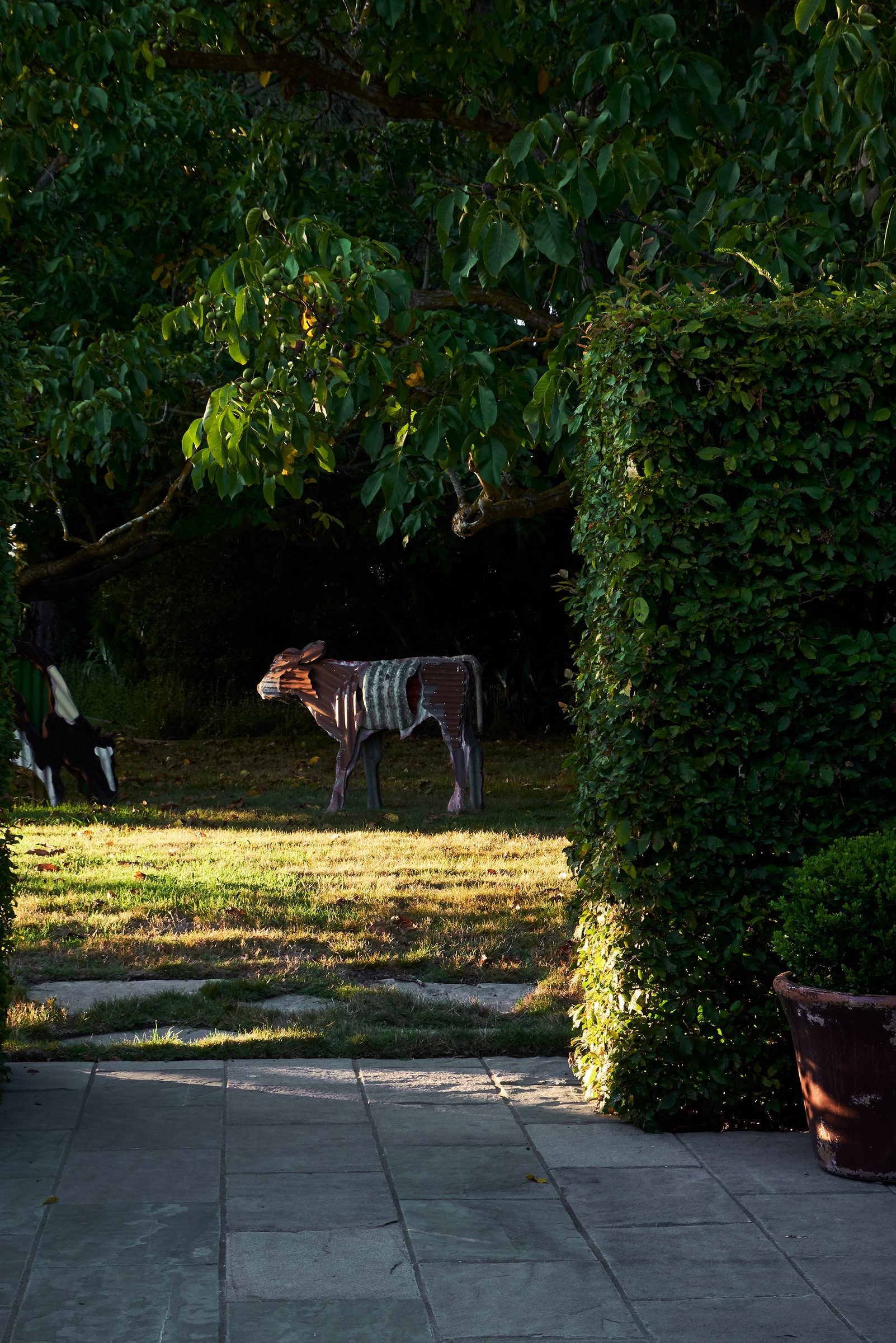 Paretai, Hawke's Bay. Landscape design by Suzanne Turley Landscapes
