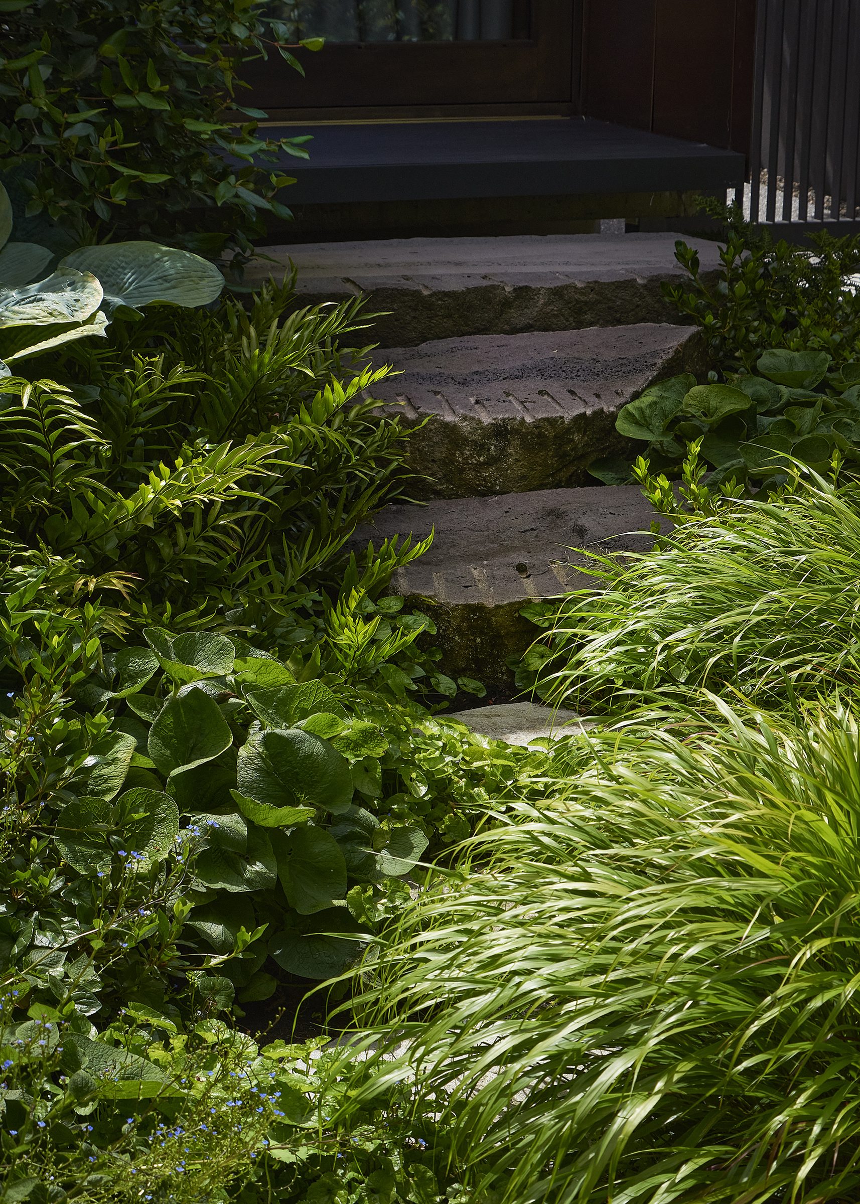 Riverside House, Christchurch. Landscape design by Suzanne Turley Landscapes