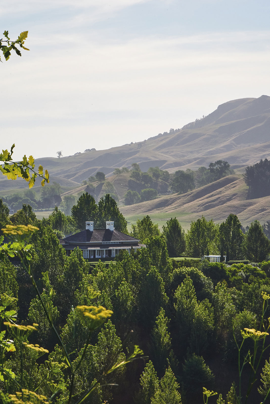 Tahuna, Hawke's Bay. Landscape design by Suzanne Turley Landscapes