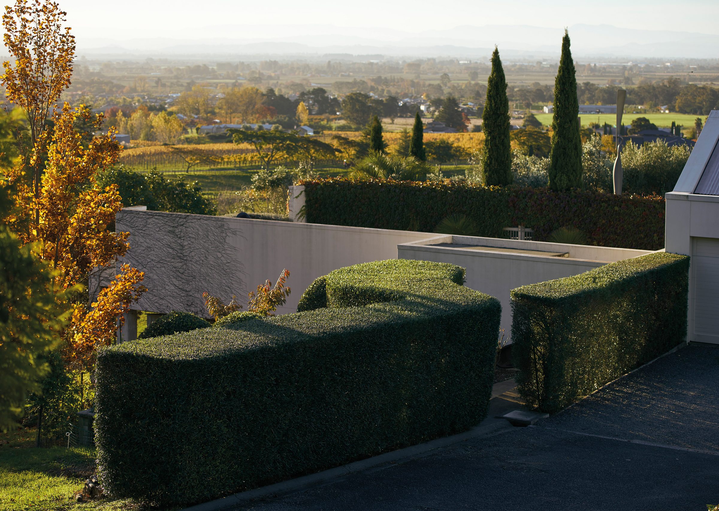 Te Mata, Hawke's Bay. Landscape design by Suzanne Turley Landscapes