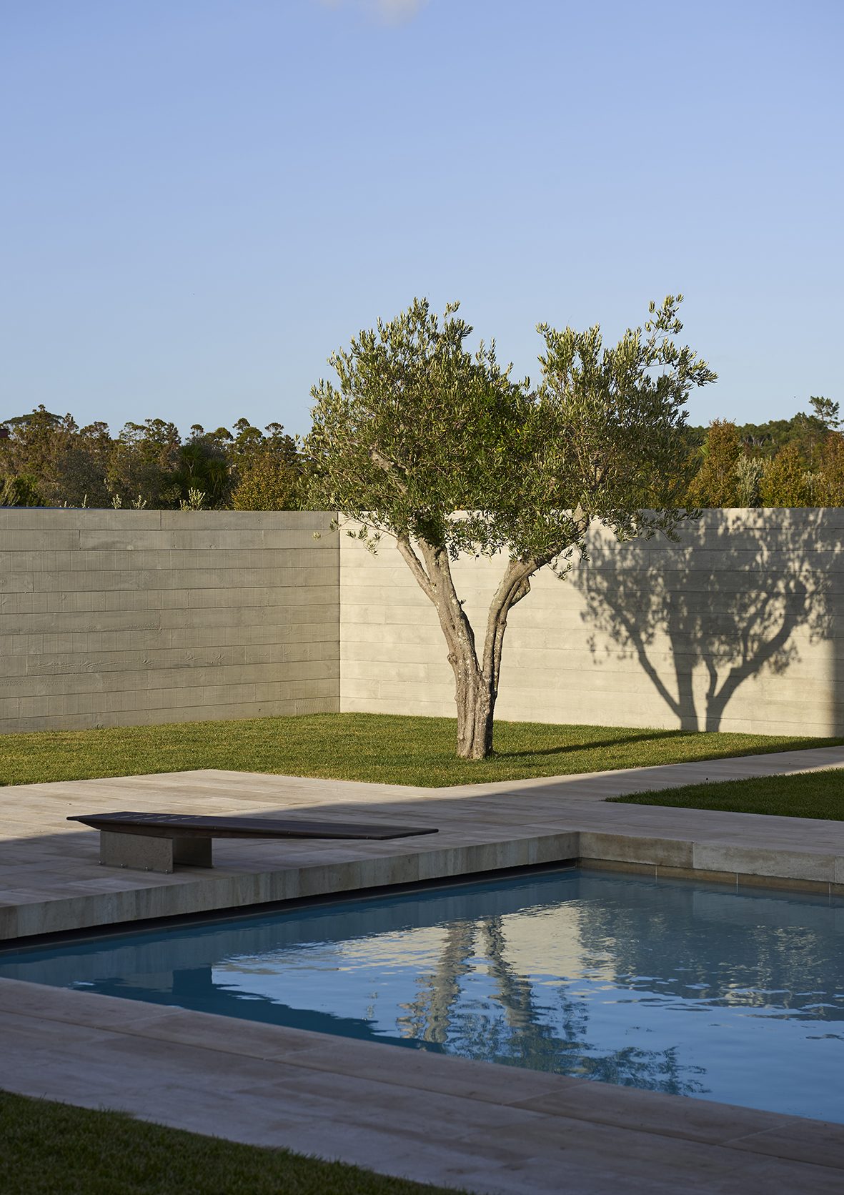 Beachside Retreat, Auckland. Landscape design by Suzanne Turley Landscapes
