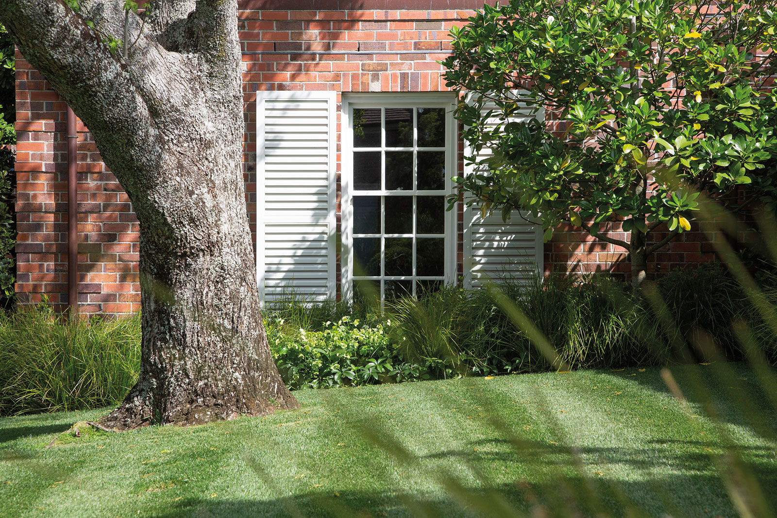Hanene, Auckland. Landscape design by Suzanne Turley Landscapes