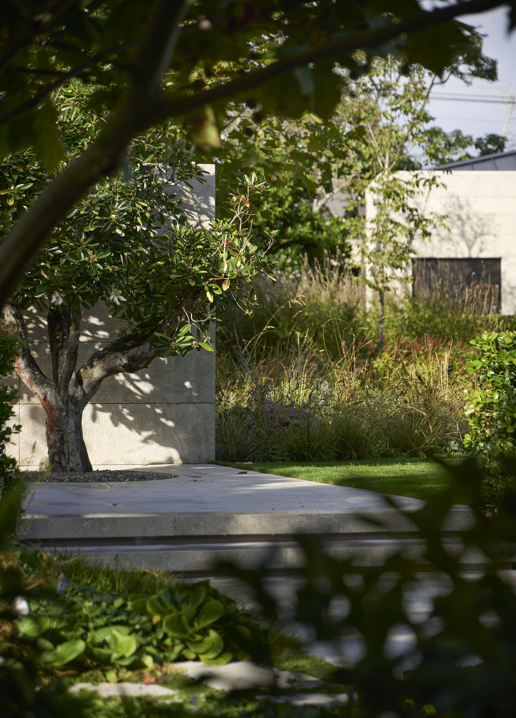 Garden House, Auckland. Landscape design by Suzanne Turley Landscapes