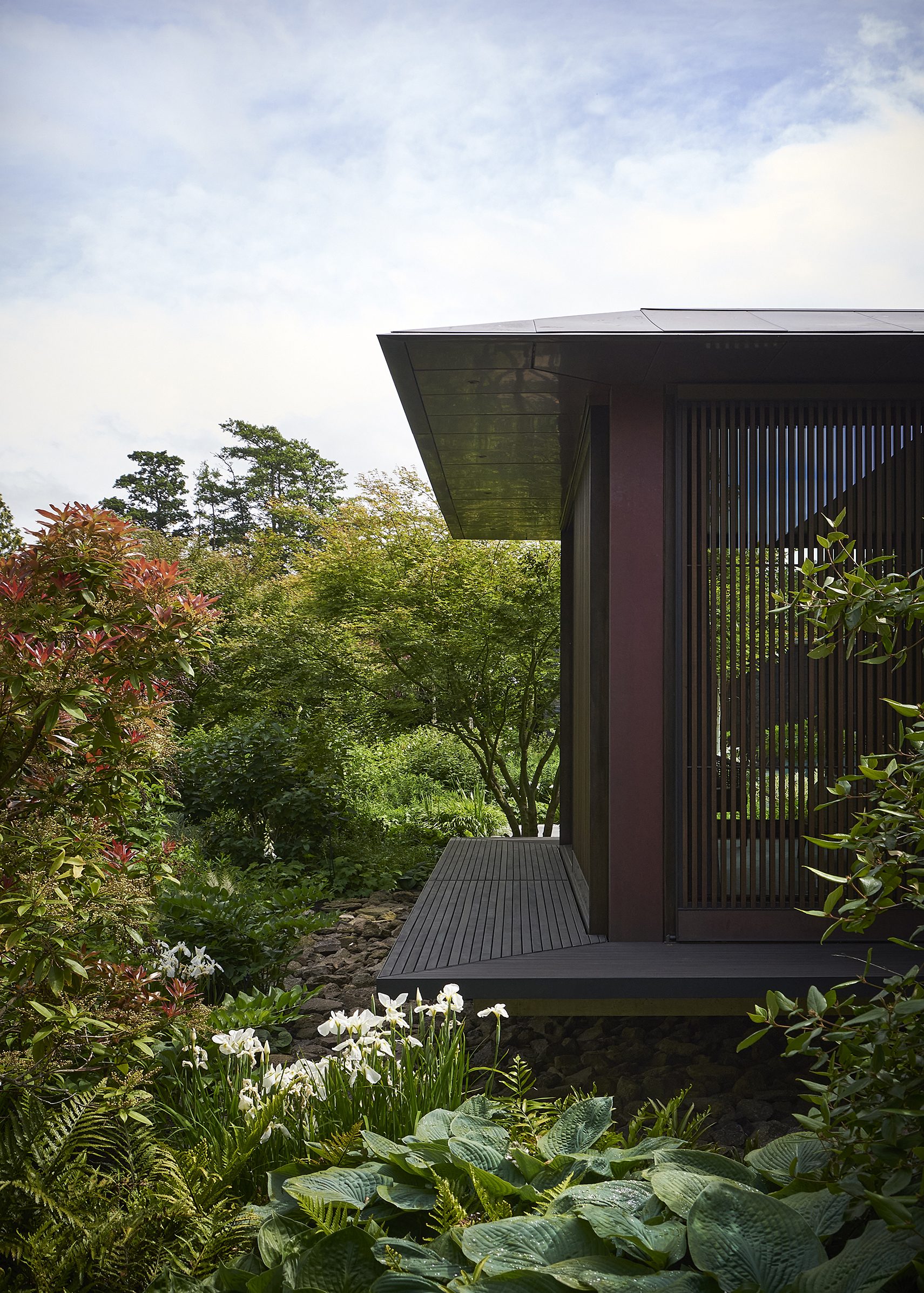 Riverside House, Christchurch. Landscape design by Suzanne Turley Landscapes