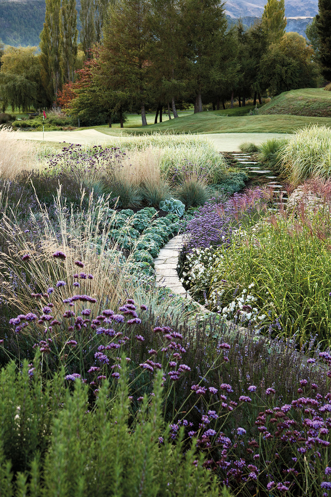 The Hills, Queenstown, New Zealand. Landscape design by Suzanne Turley Landscapes