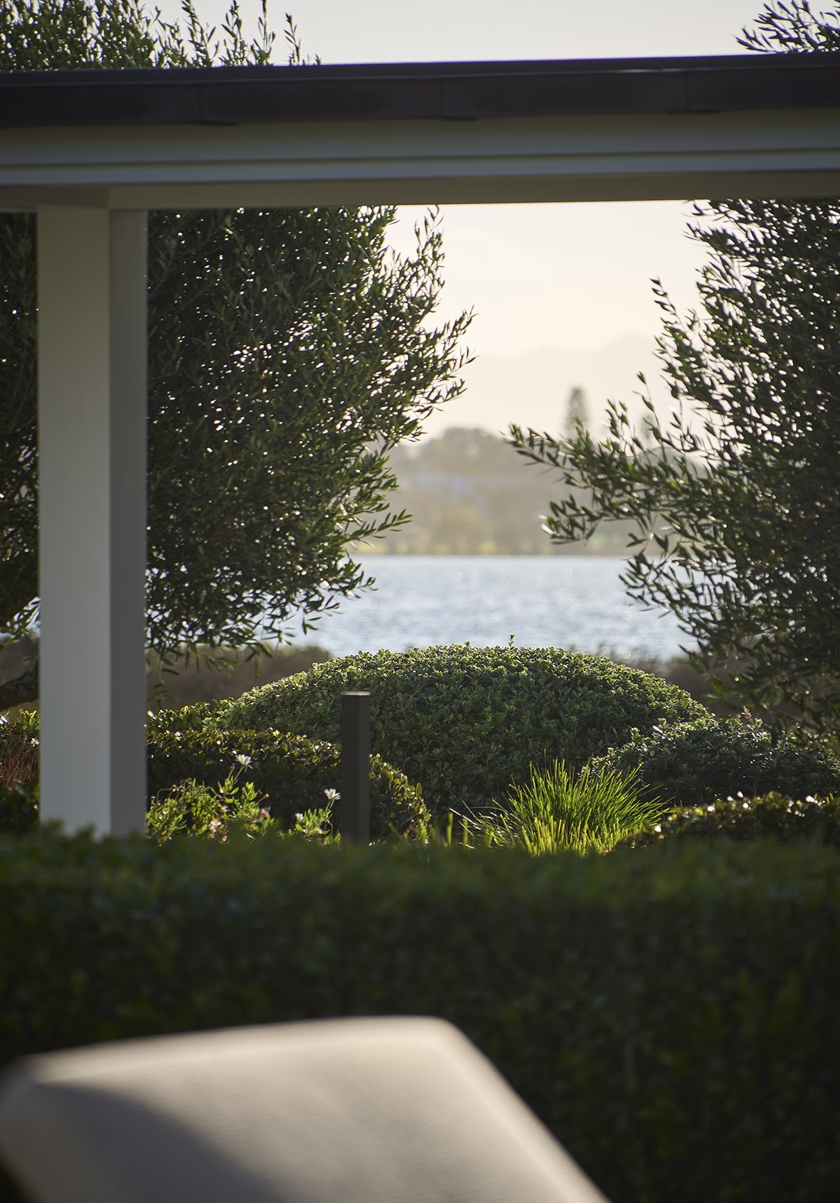 Beachside Retreat, Auckland. Landscape design by Suzanne Turley Landscapes