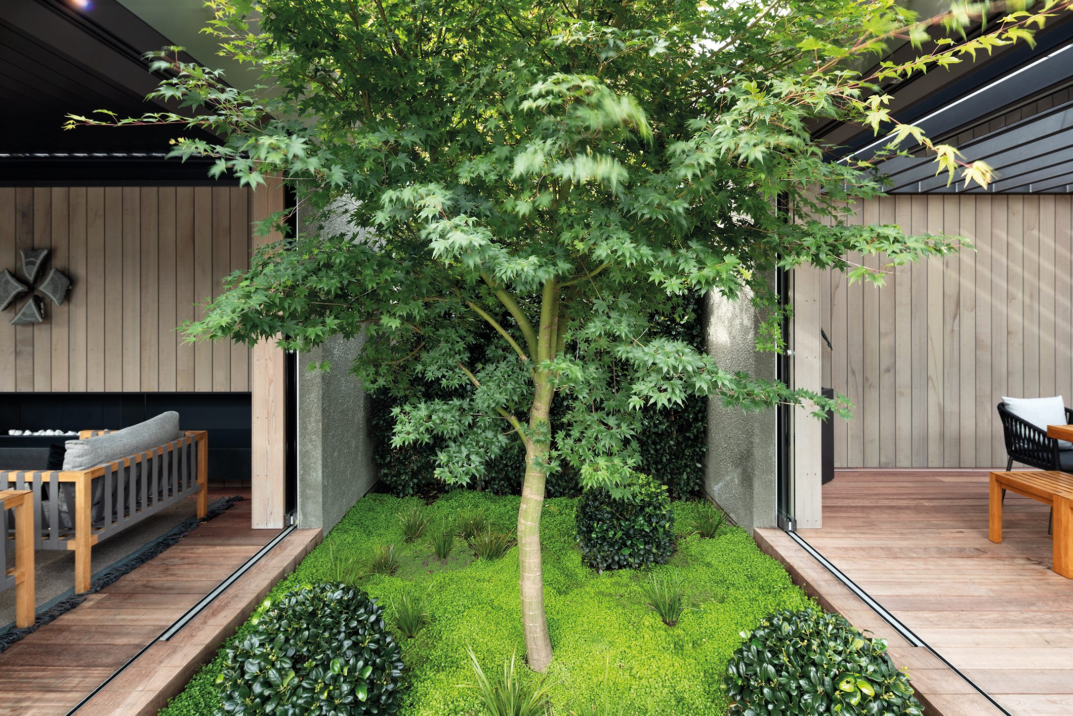 Pool Pavilion, Auckland. Landscape design by Suzanne Turley Landscapes