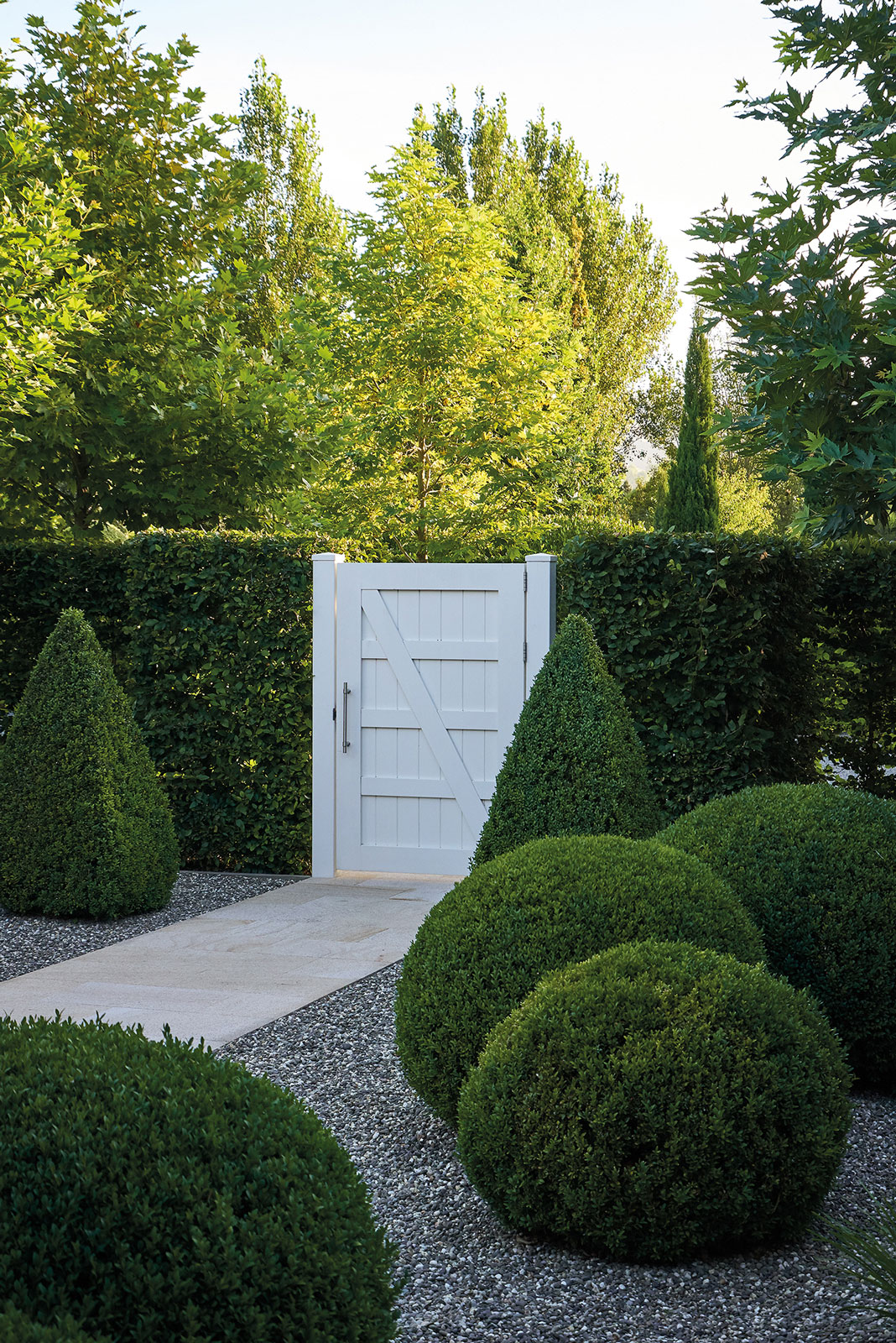 Garden designed by Suzanne Turley Landscapes