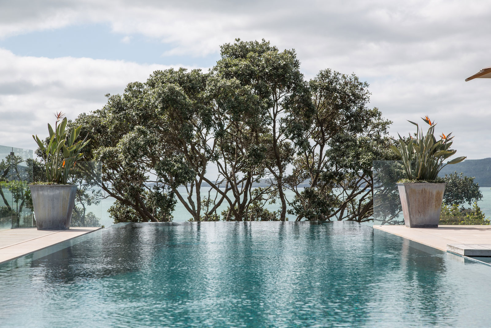 Hanene, Auckland. Landscape design by Suzanne Turley Landscapes